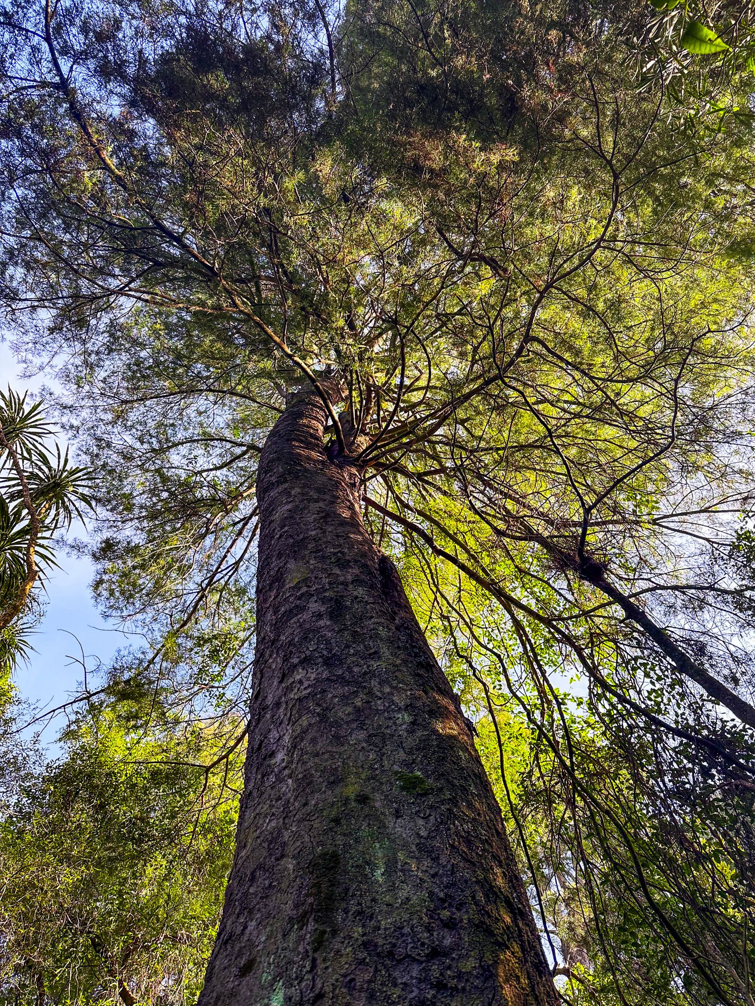 Image 6 of 10