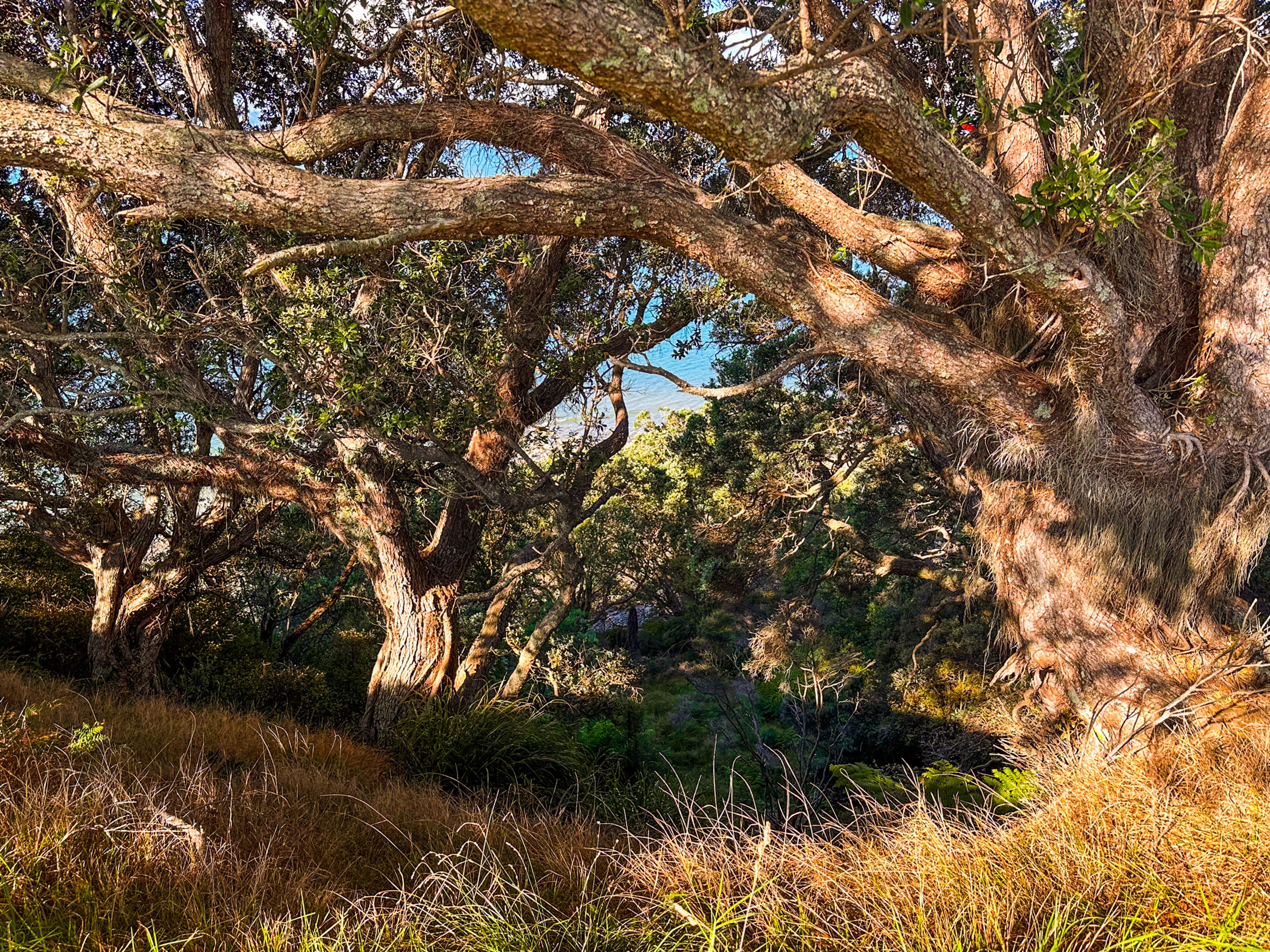 Image 9 of 10