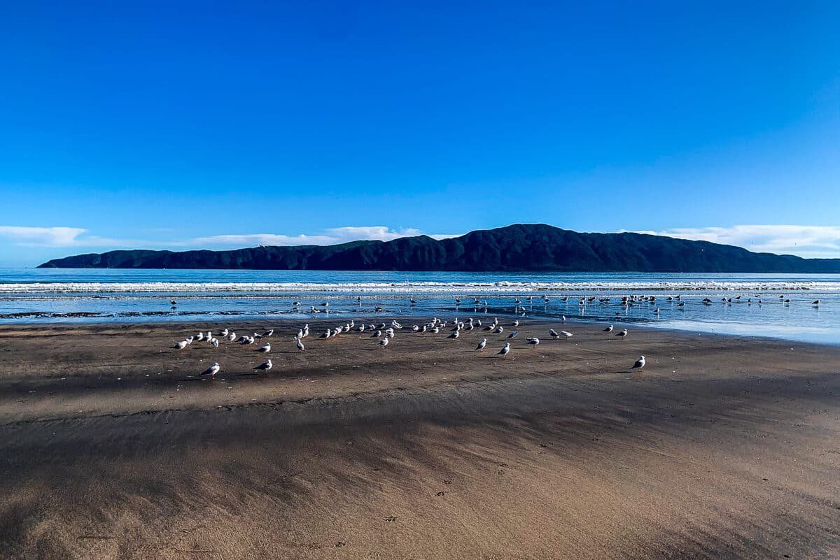 The Kāpiti Coast