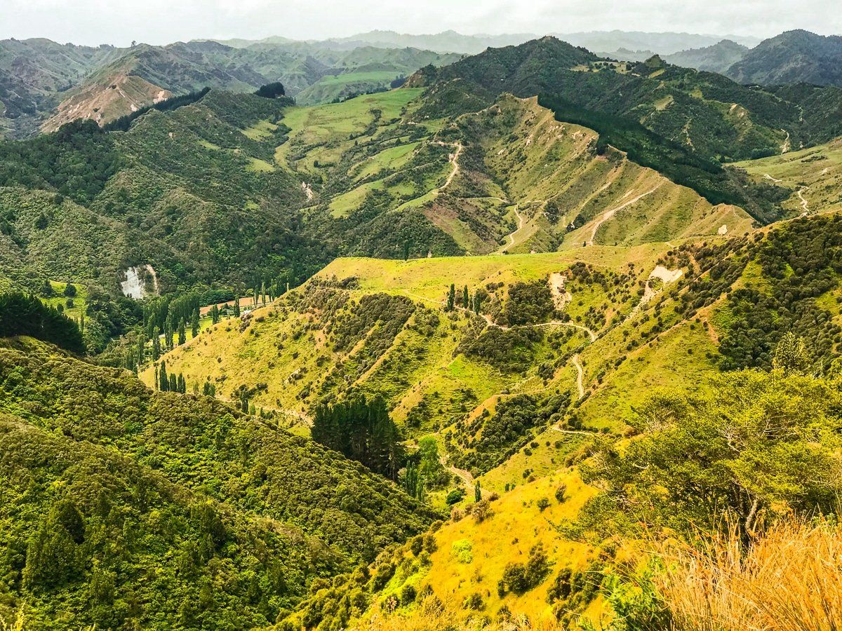 Image 6 of 8