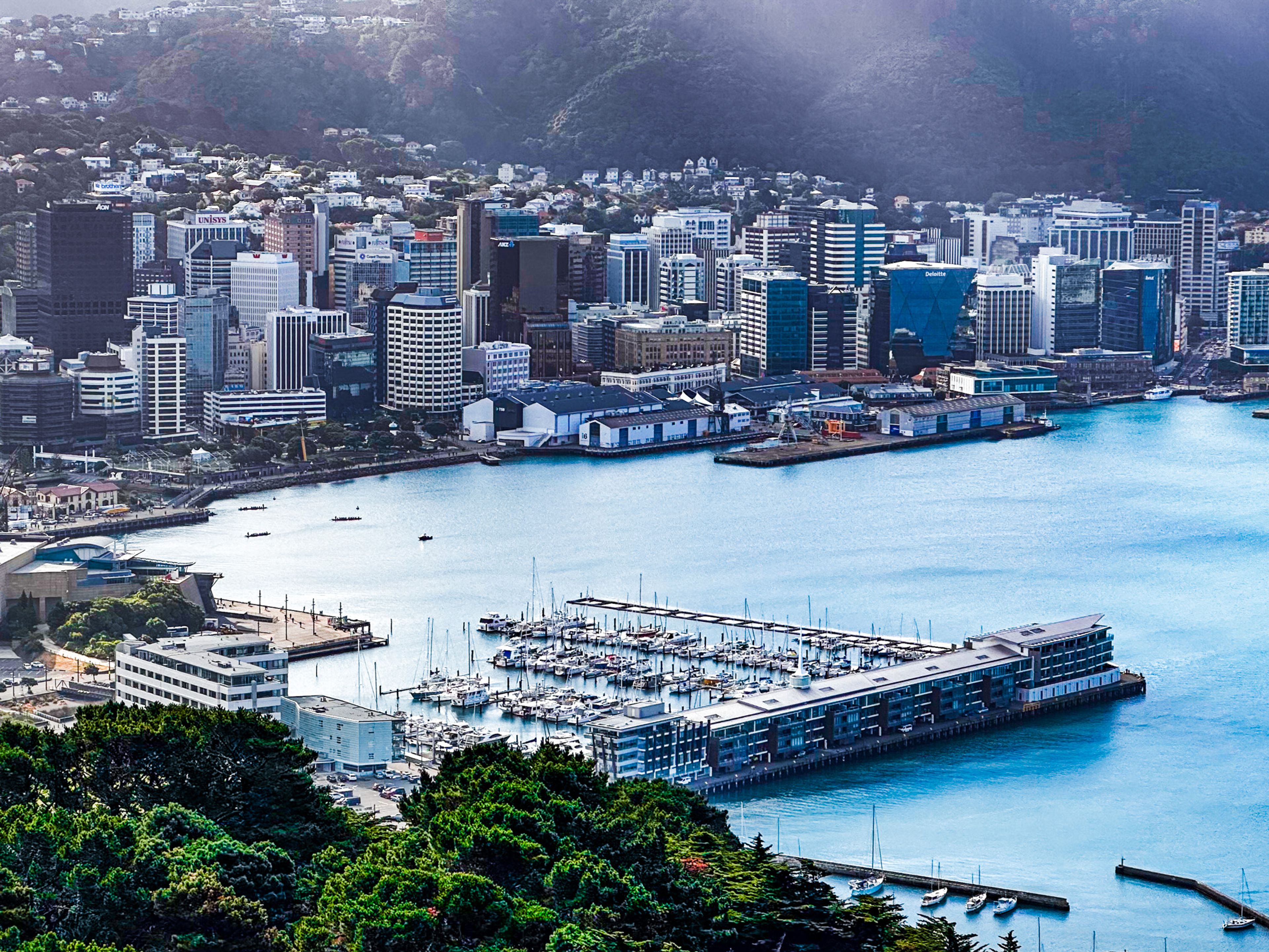 View of Wellington from Mt Victoria