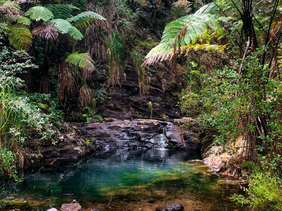 Tangitororia Stream Waterfall