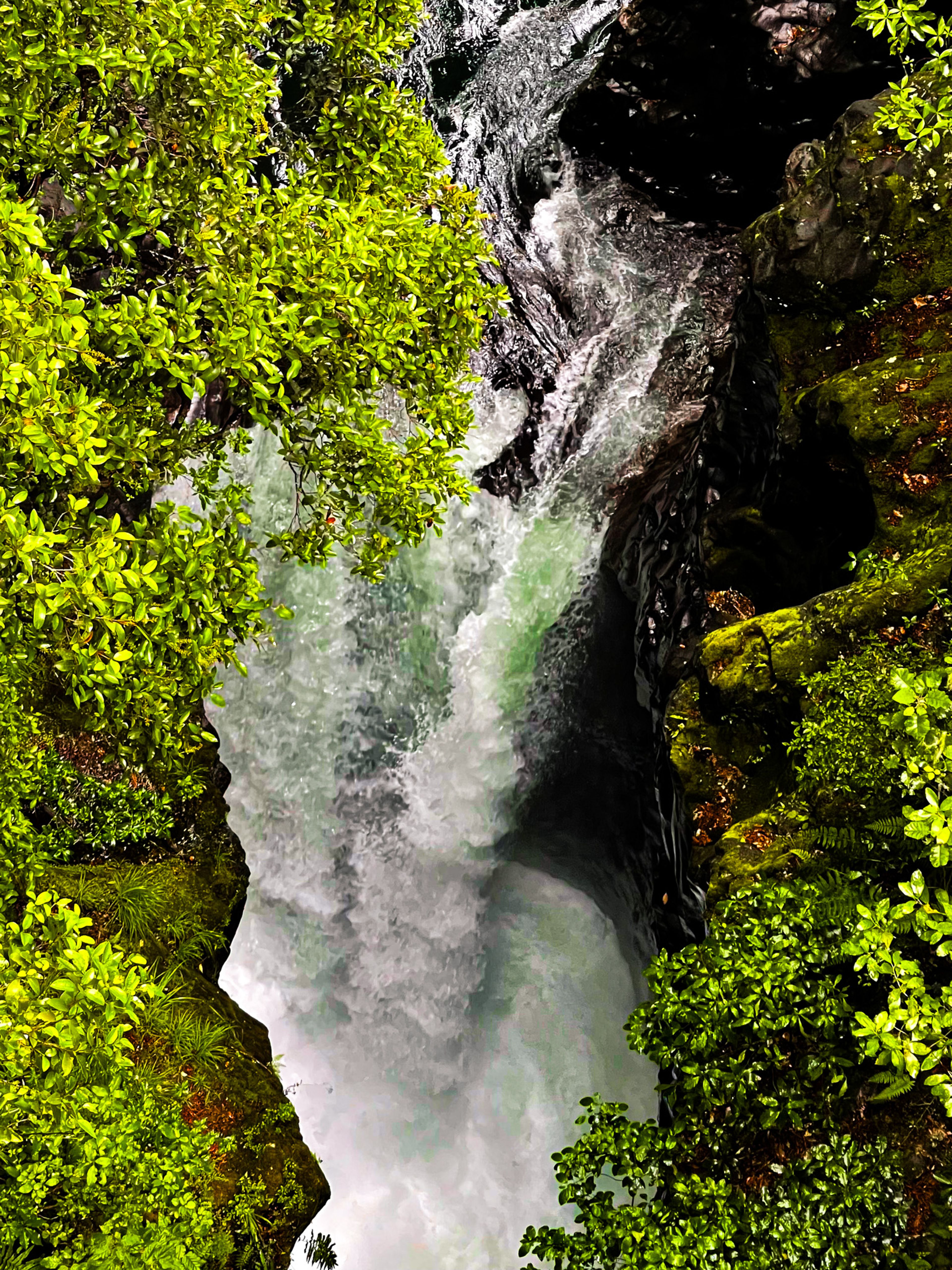 Image 7 of 10