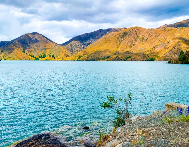 Waitaki Valley | South Canterbury - New Zealand Trip Ideas
