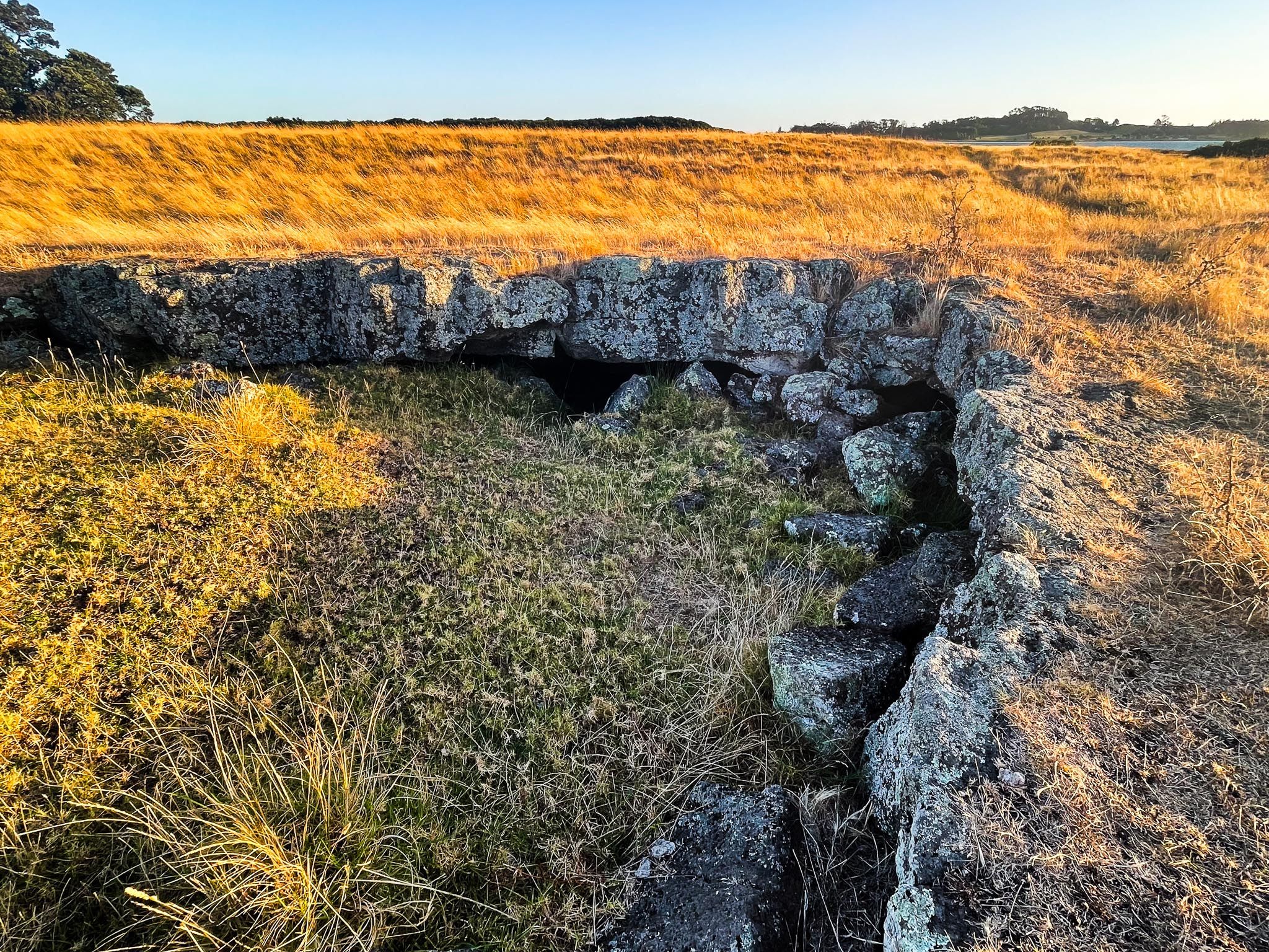 Ambury Regional Park | South Auckland - New Zealand Trip Ideas