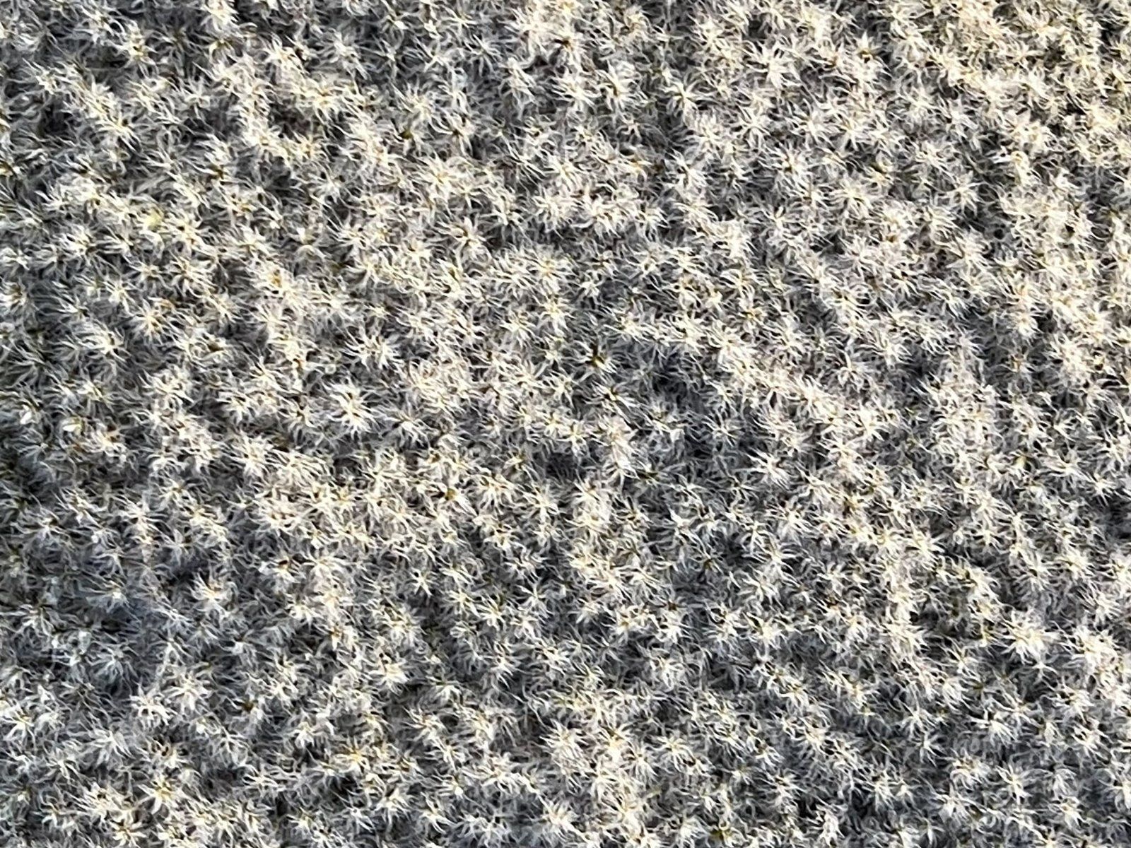 Image 9 of 11