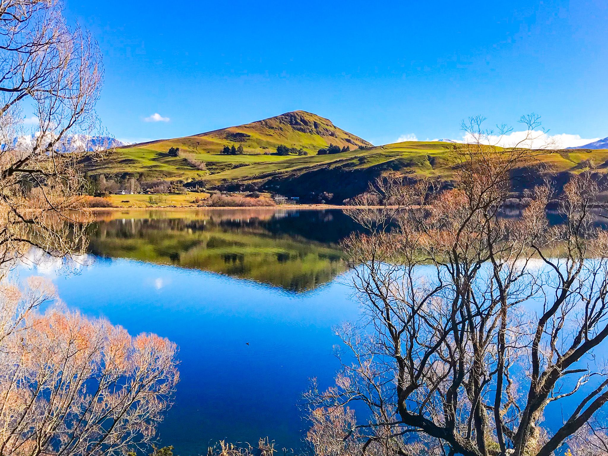 Five Stunning Queenstown Tracks