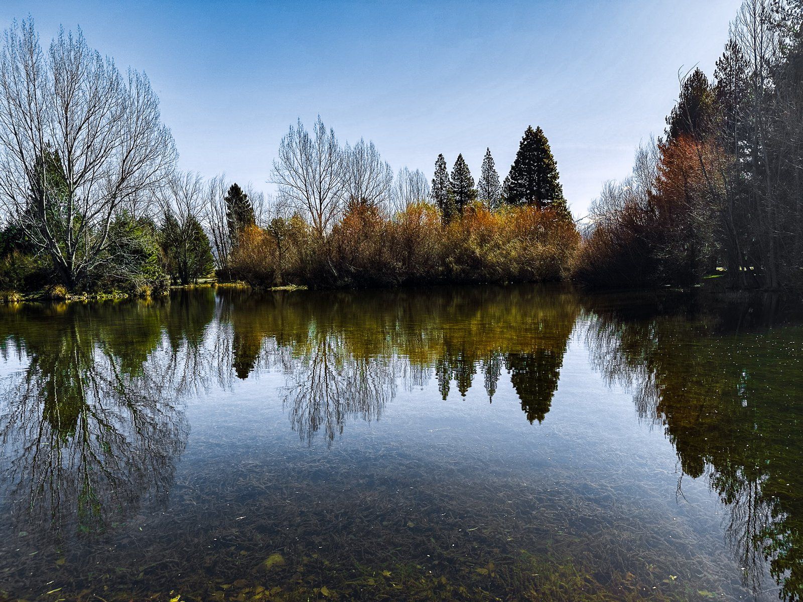 Lake Wardell