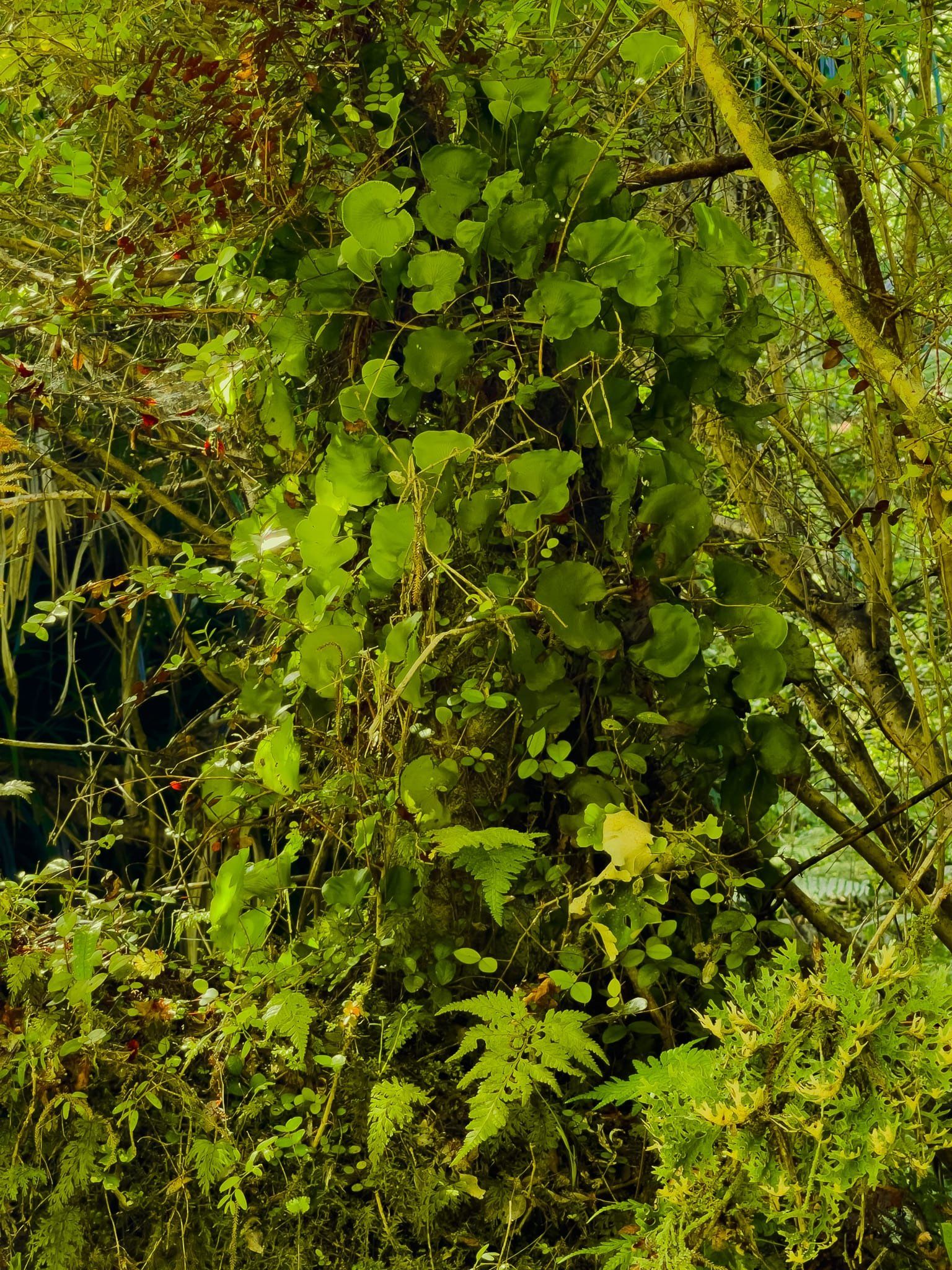 Image 9 of 9
