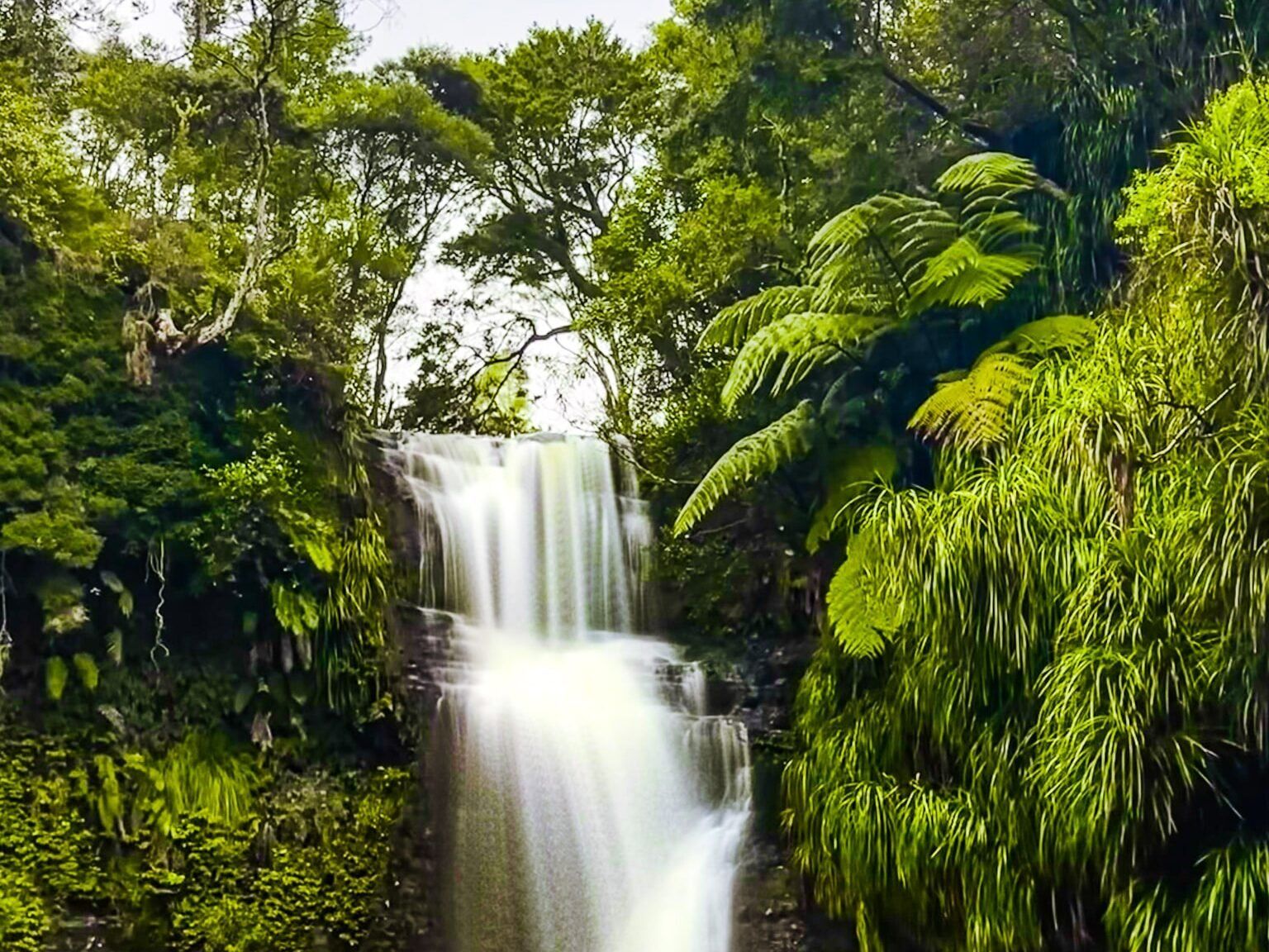 Omeru Scenic Reserve – Waitangi Falls