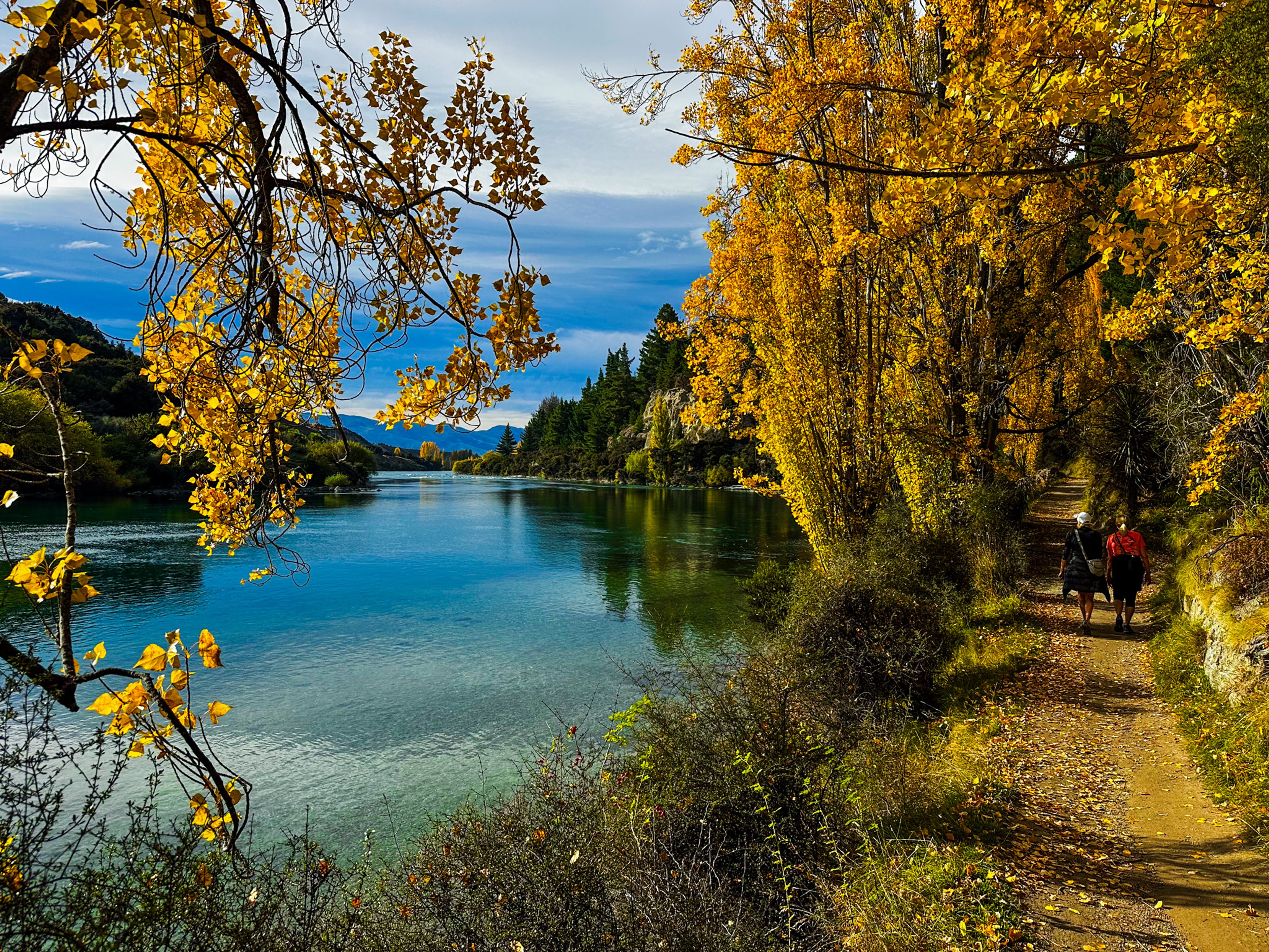 Clutha River / Mata-Au