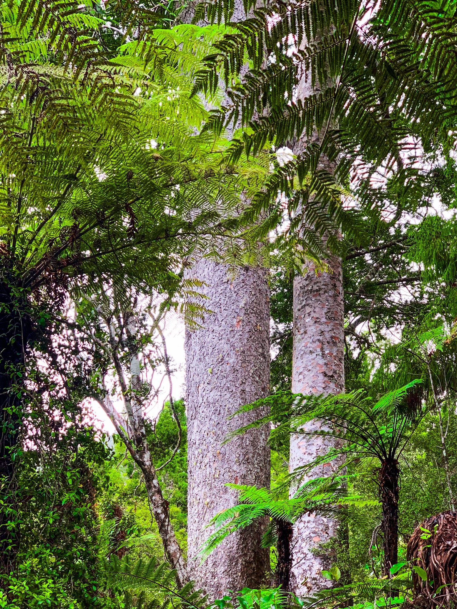 Image 10 of 10