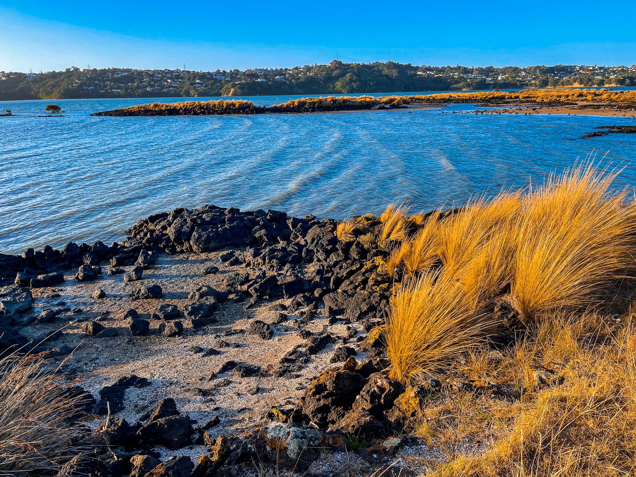Ambury Regional Park | South Auckland - New Zealand Trip Ideas