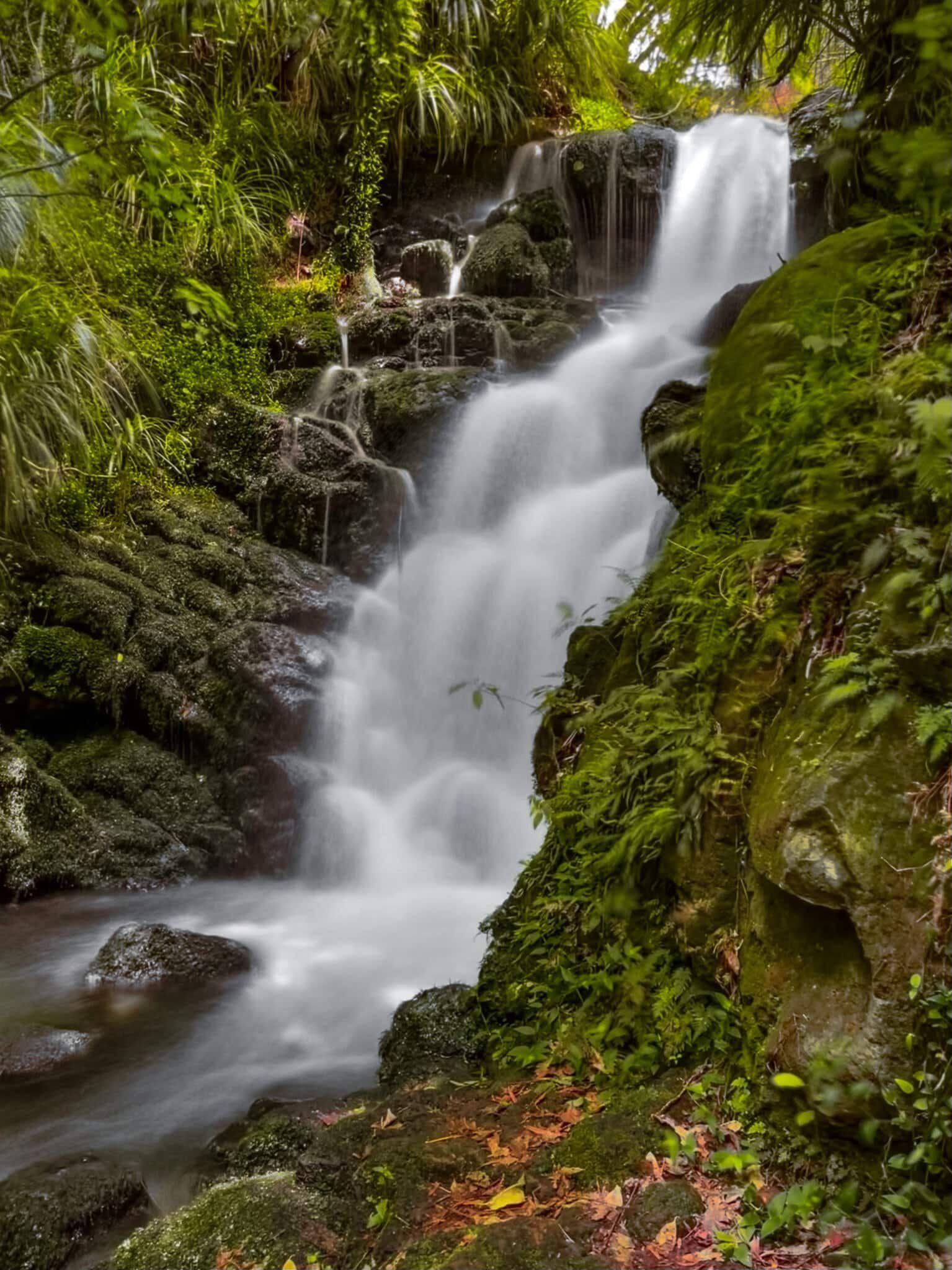 Image 5 of 8