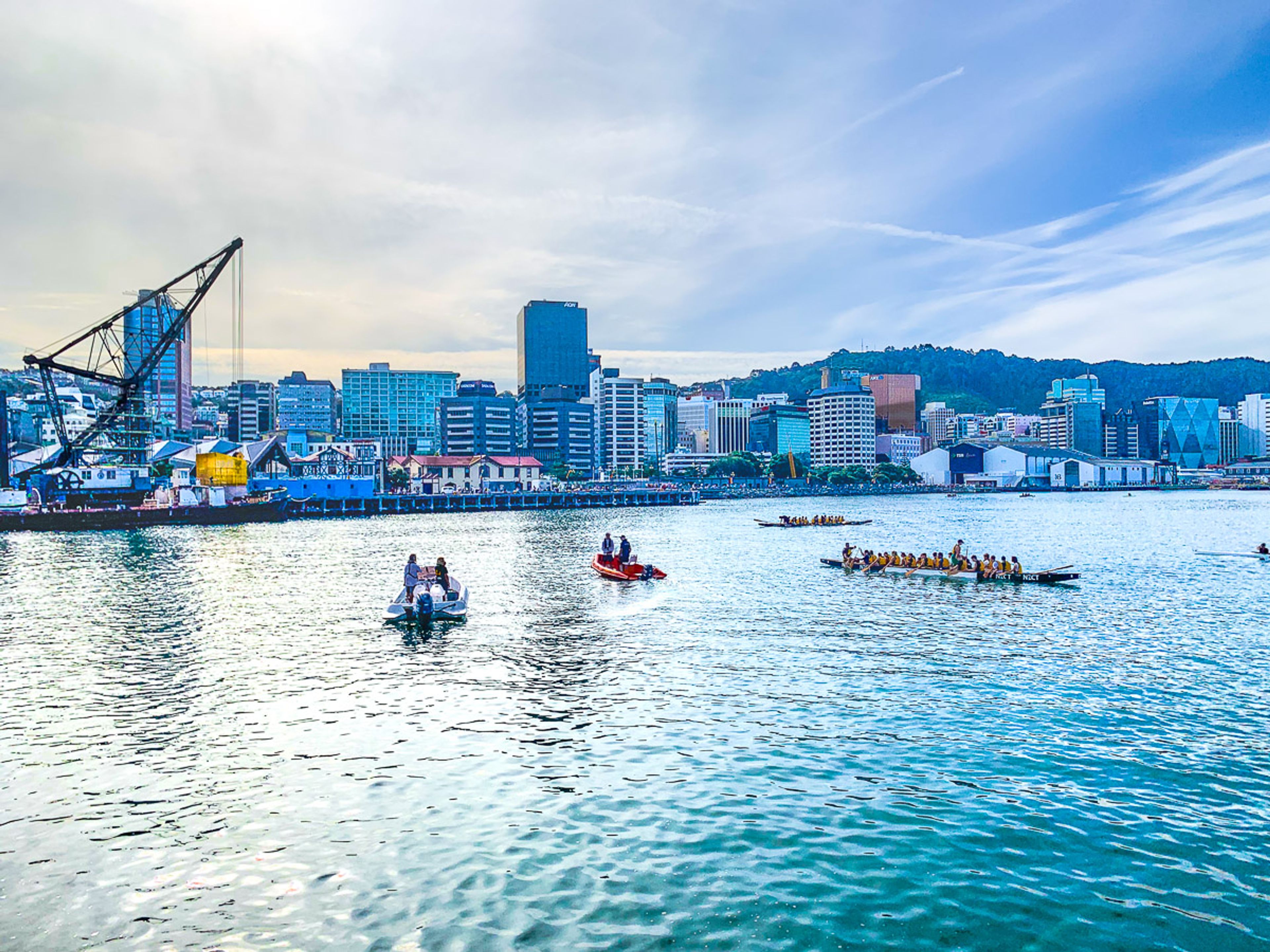 canoes on Wellington harbour in late afternoon light