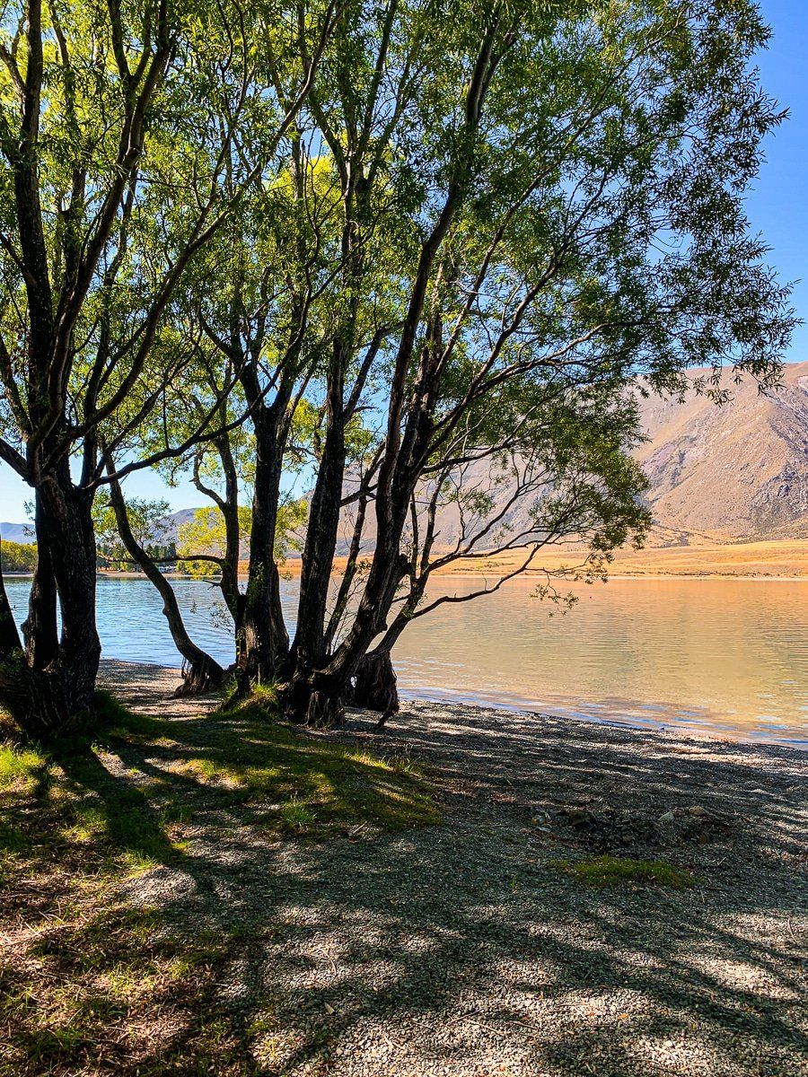 Image 4 of 6
