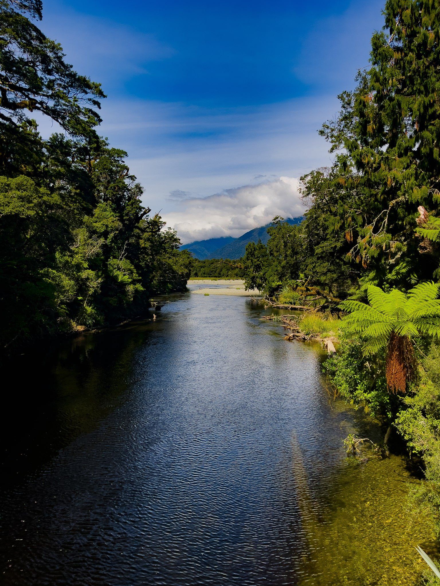 Image 9 of 12