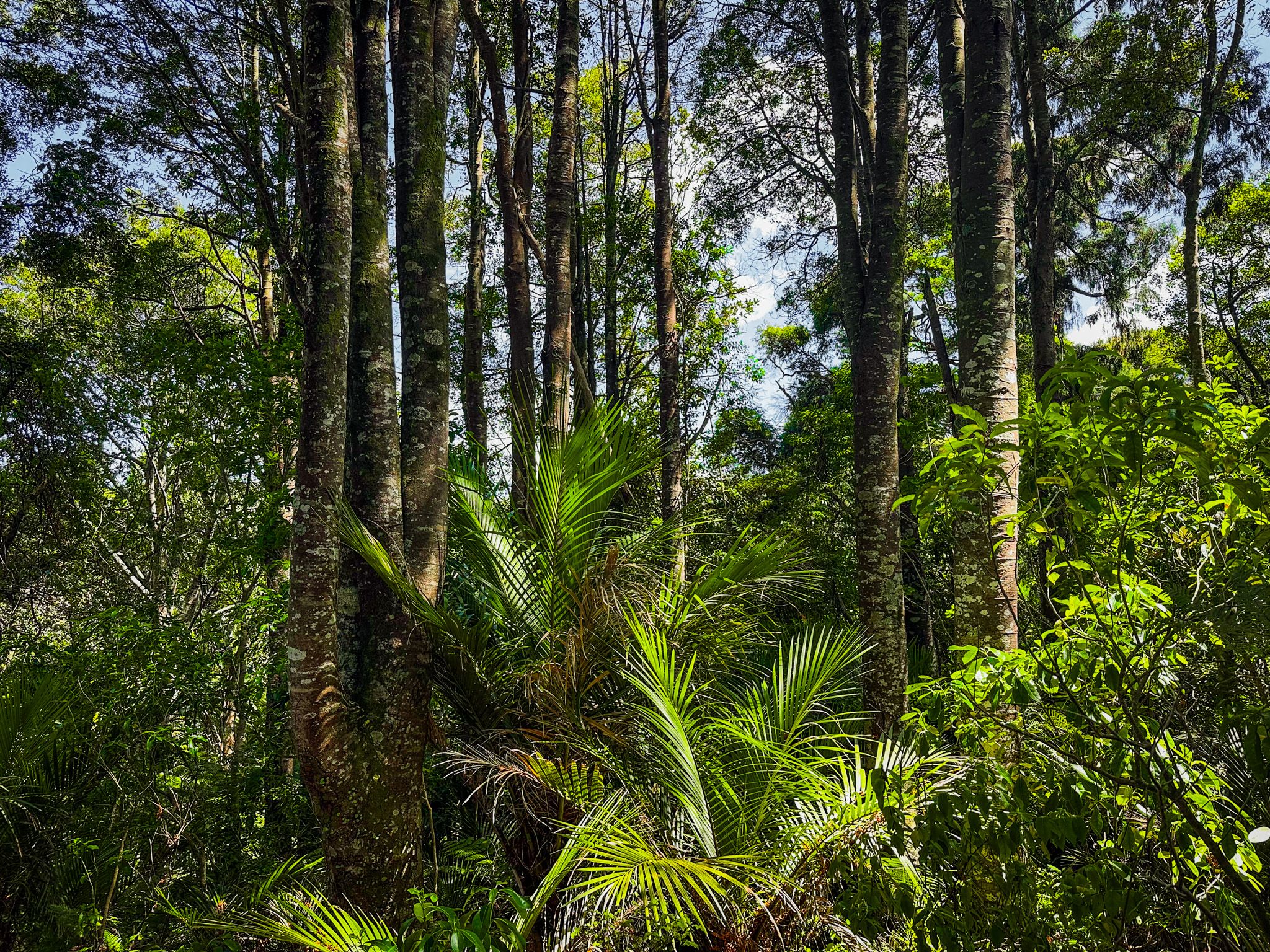 Image 6 of 10