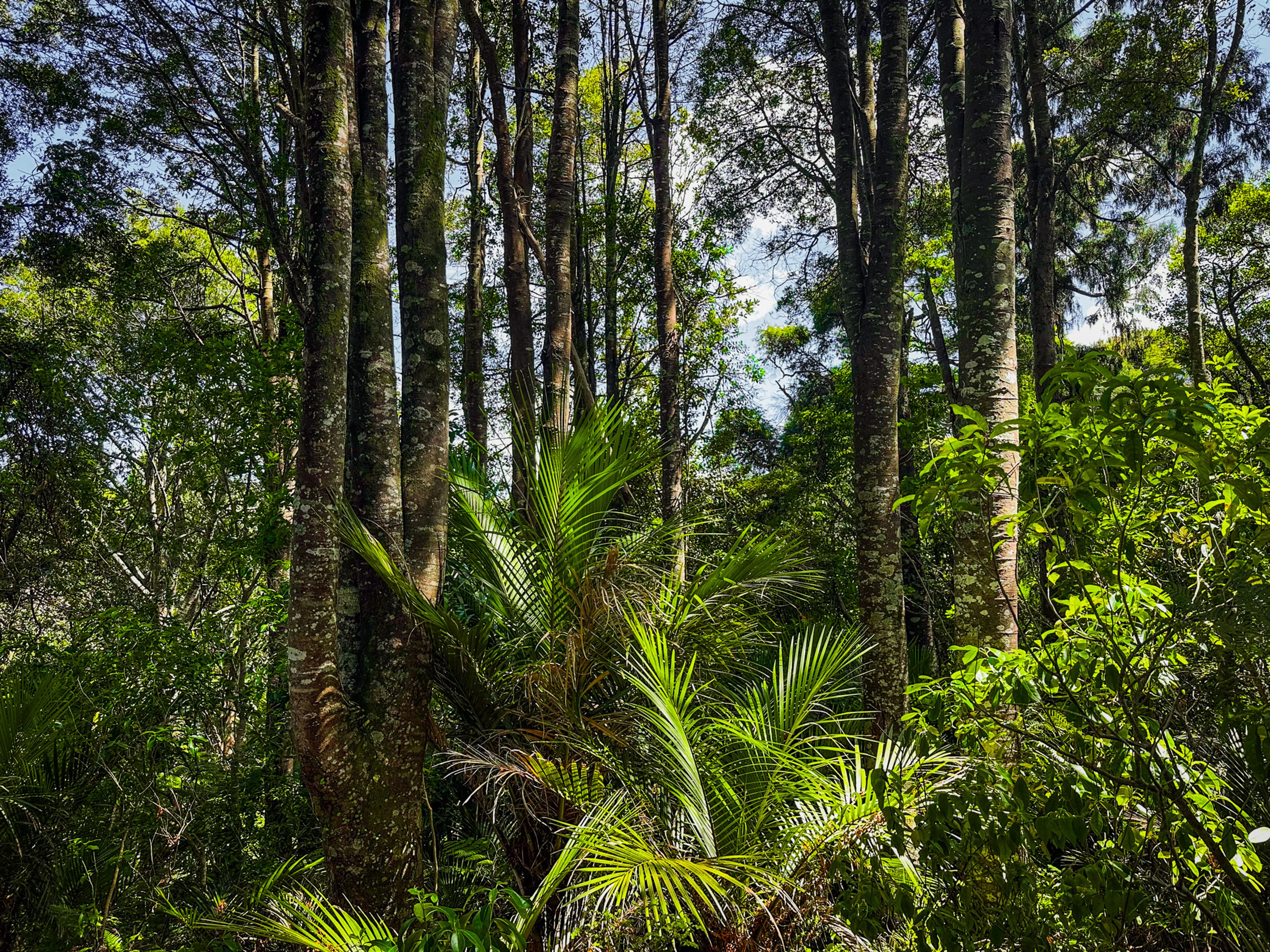 Image 6 of 10