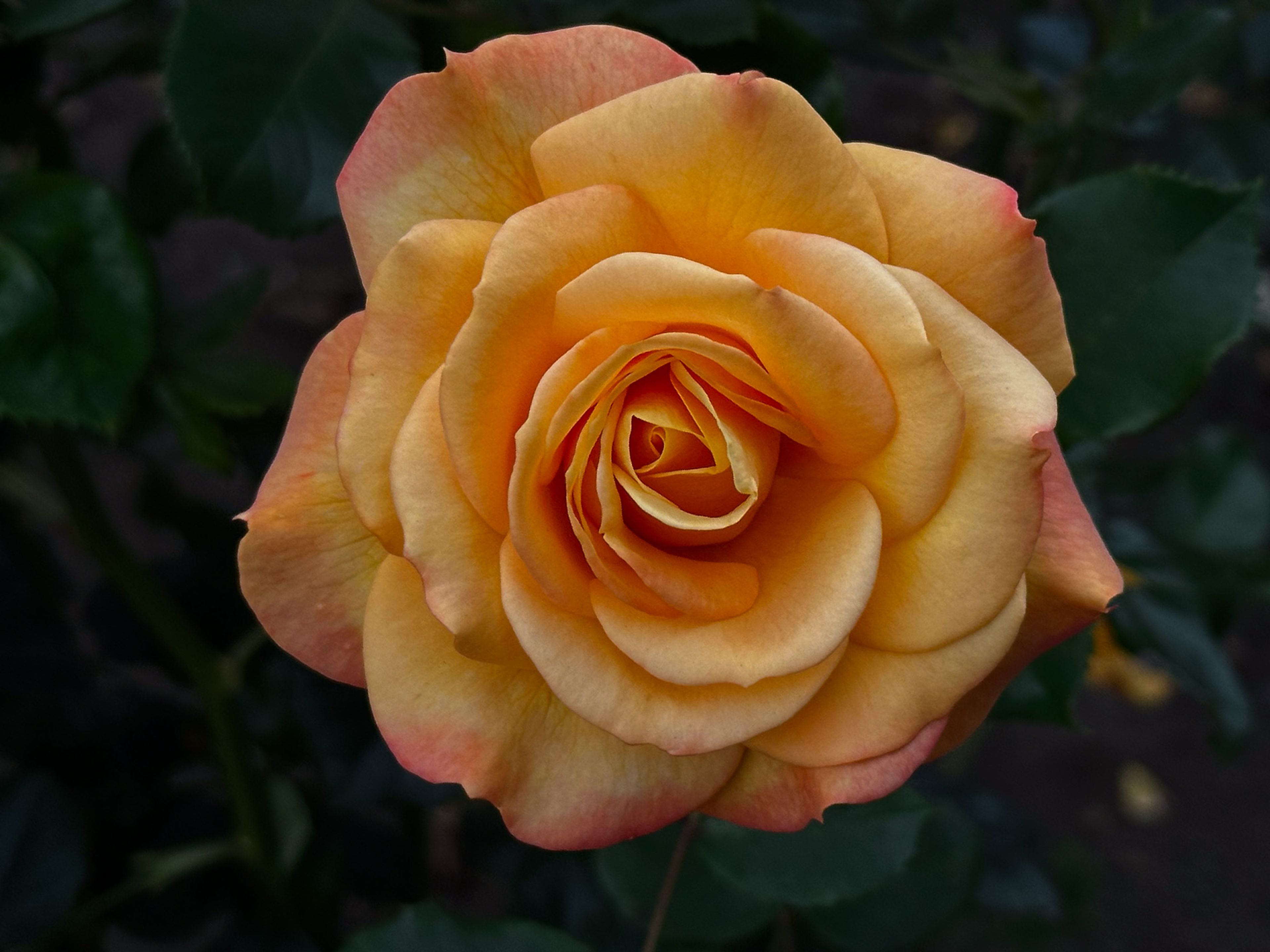 Image 5 of 10