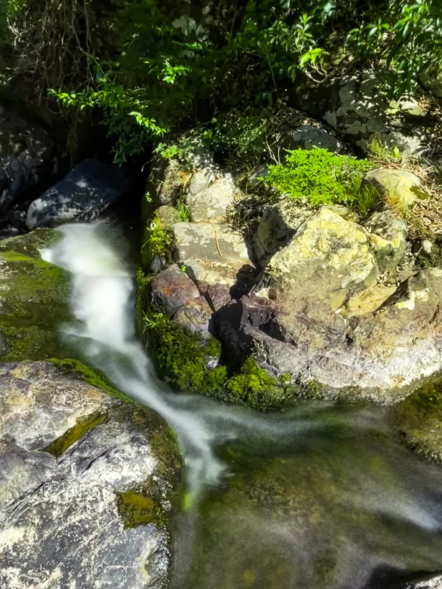 Image 10 of 10