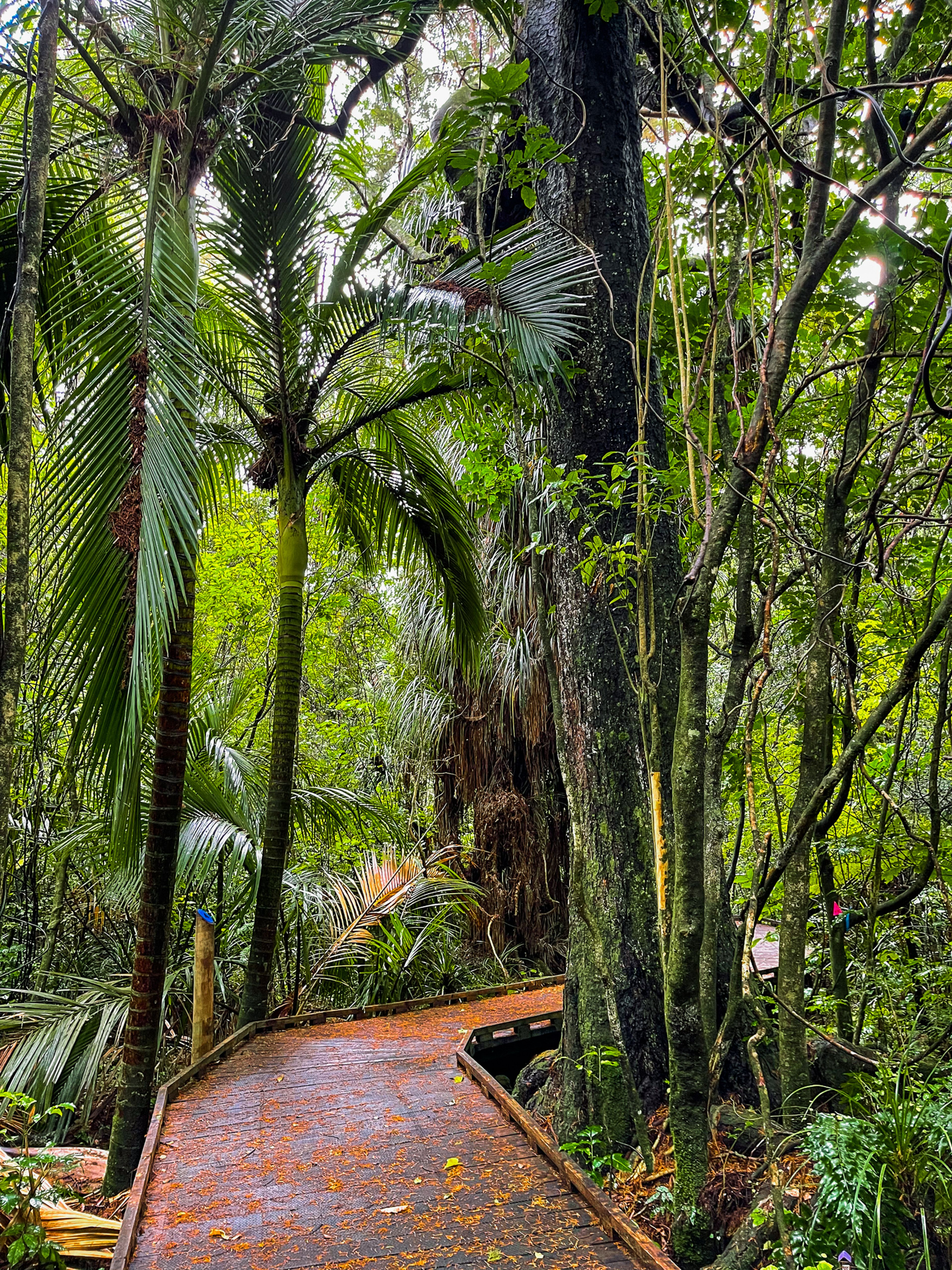 Image 10 of 10
