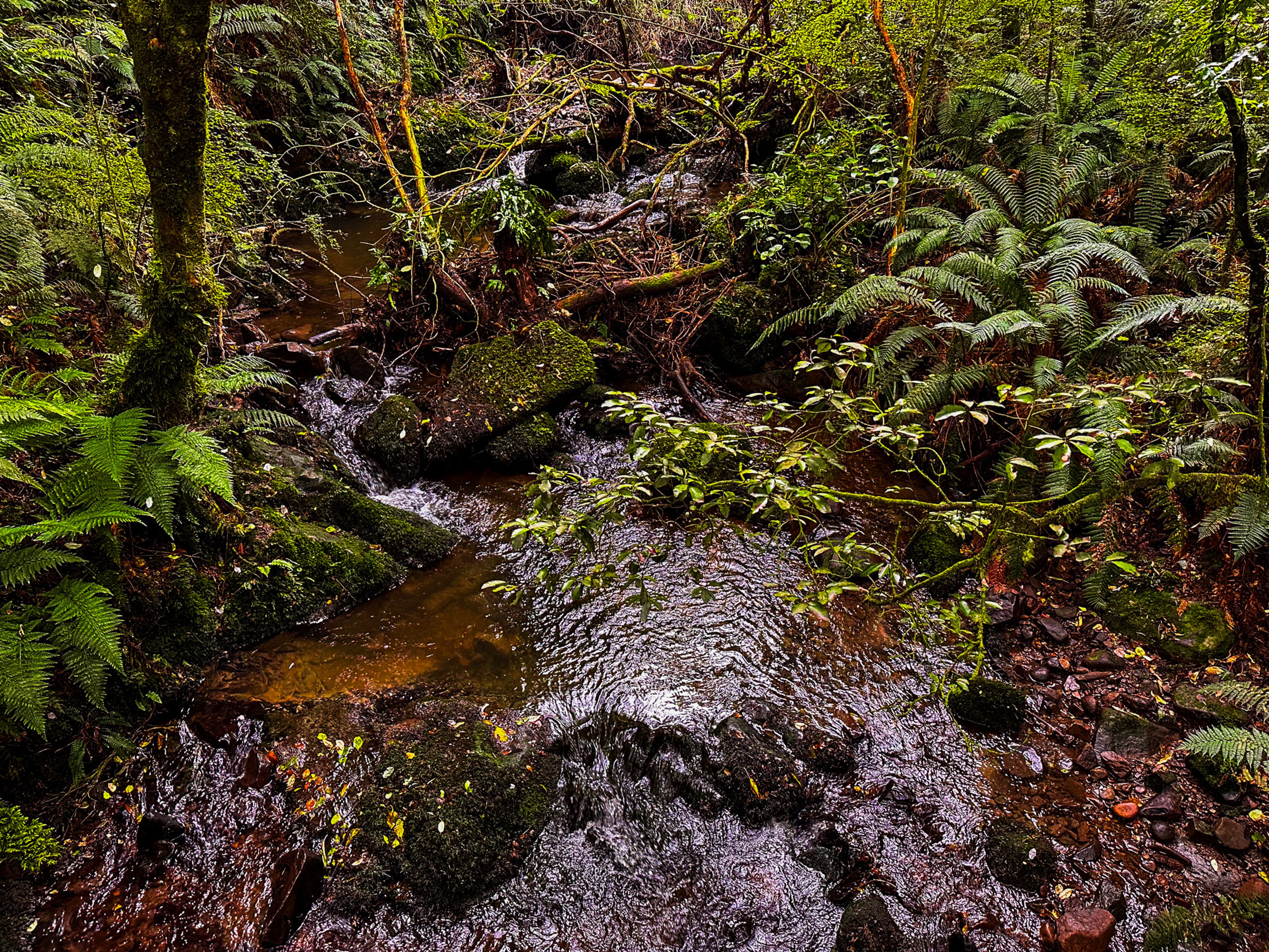 Image 4 of 10