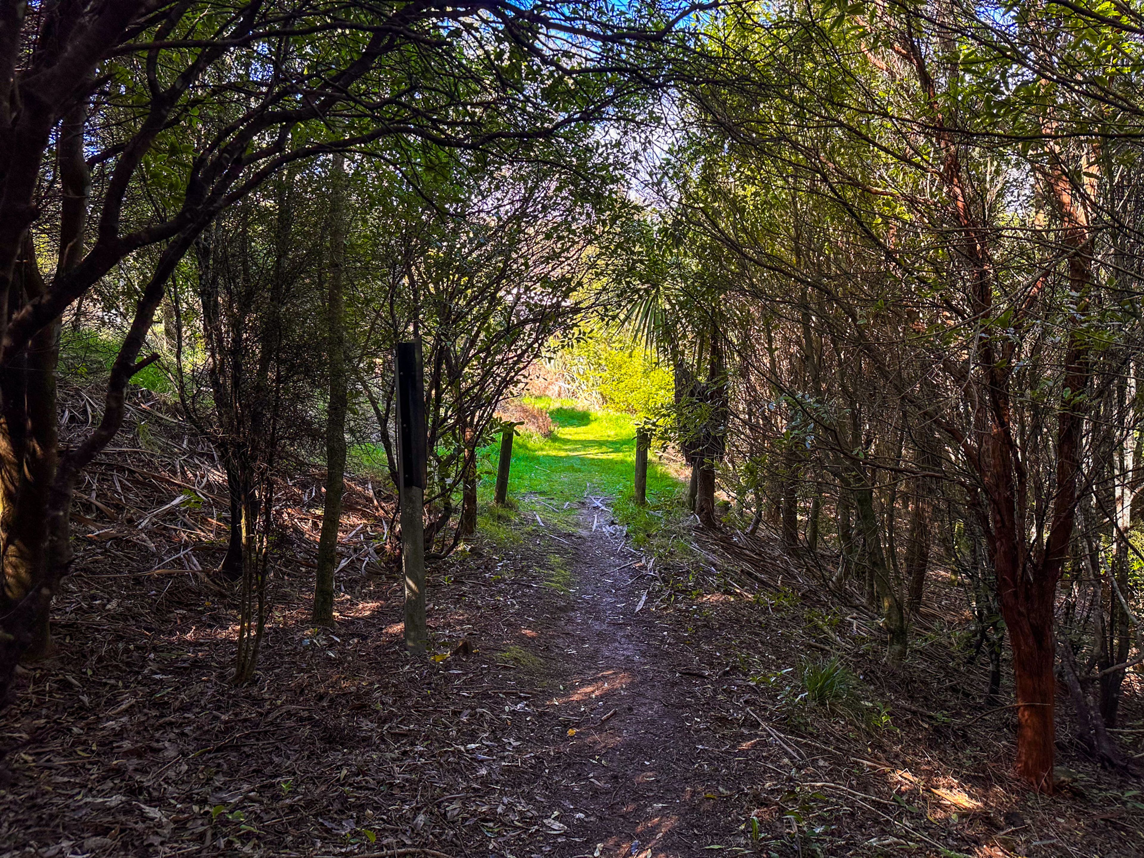 Image 3 of 10
