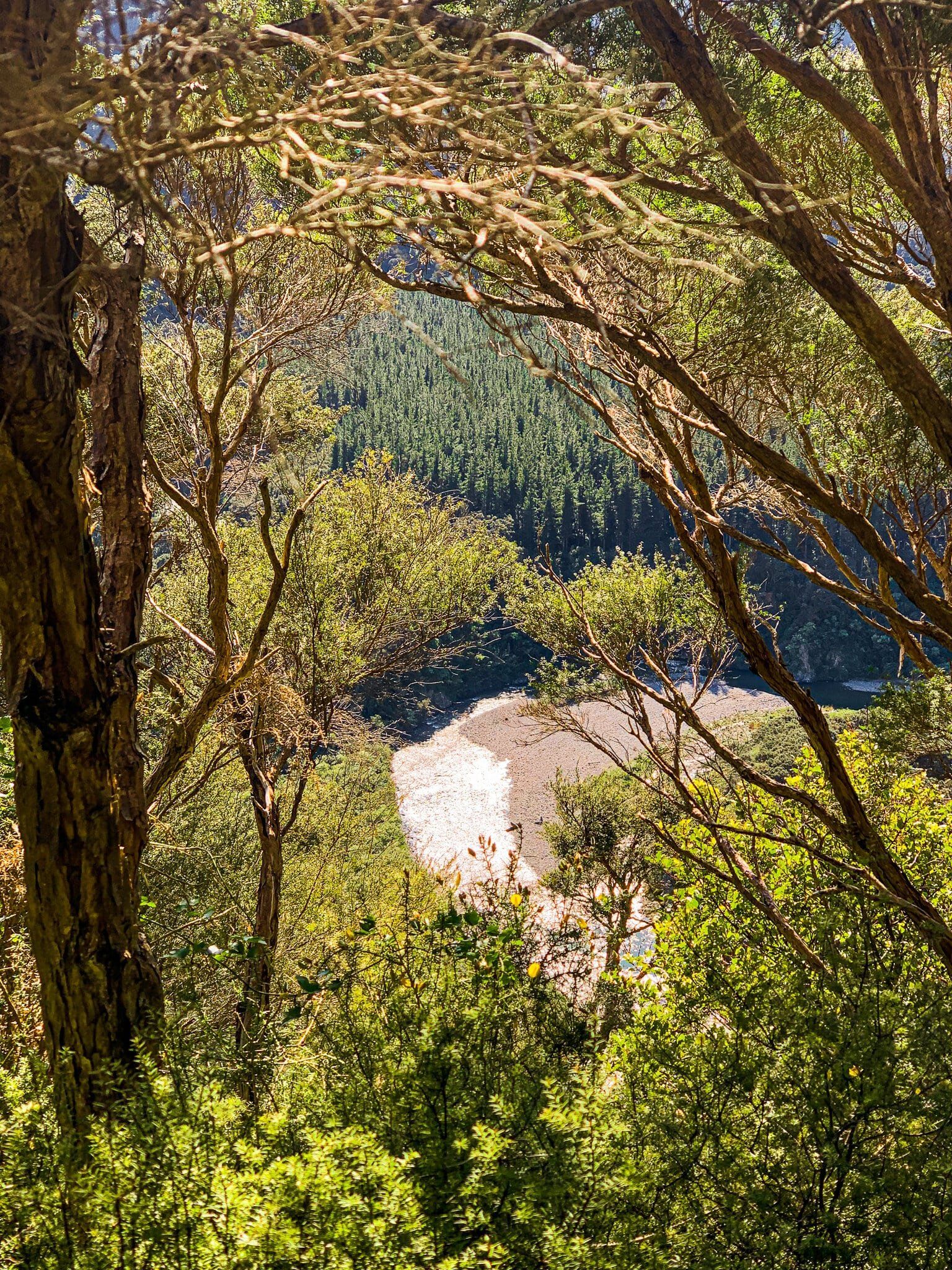 Image 9 of 9