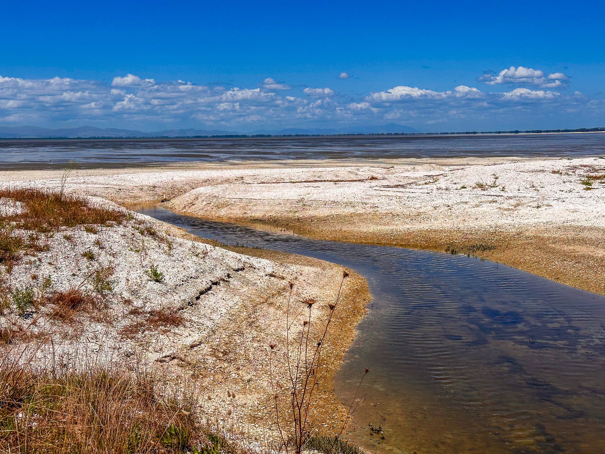 Image 8 of 10
