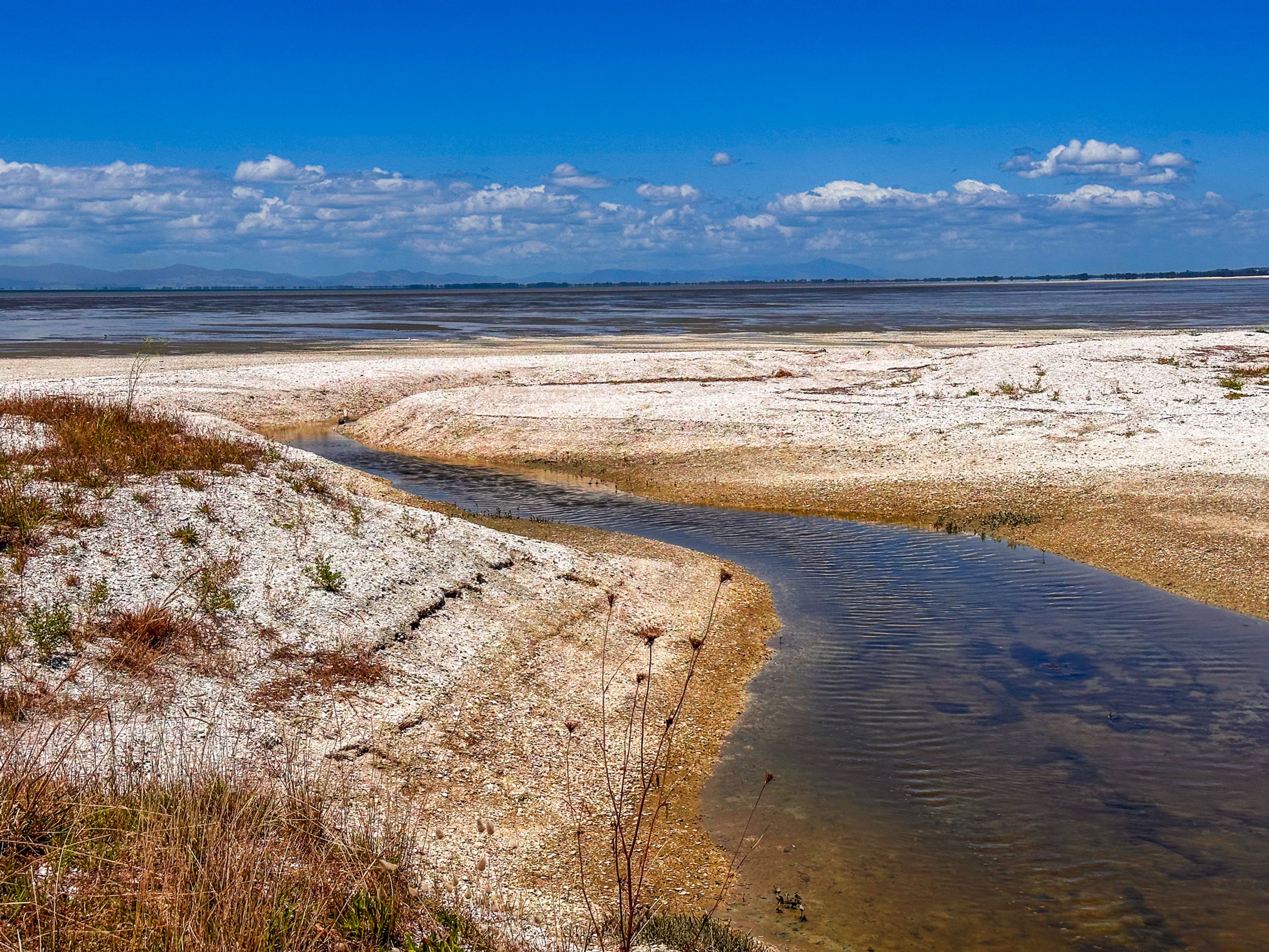 Image 8 of 10