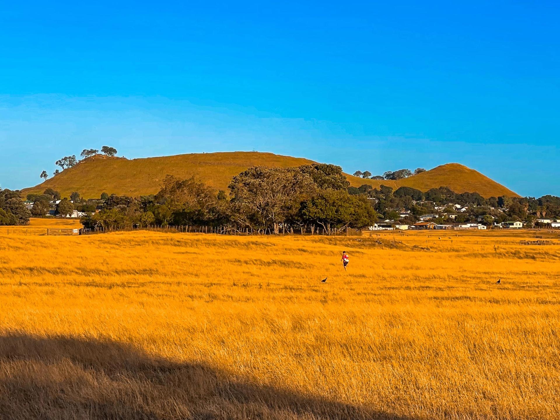 Ambury Regional Park | South Auckland - New Zealand Trip Ideas