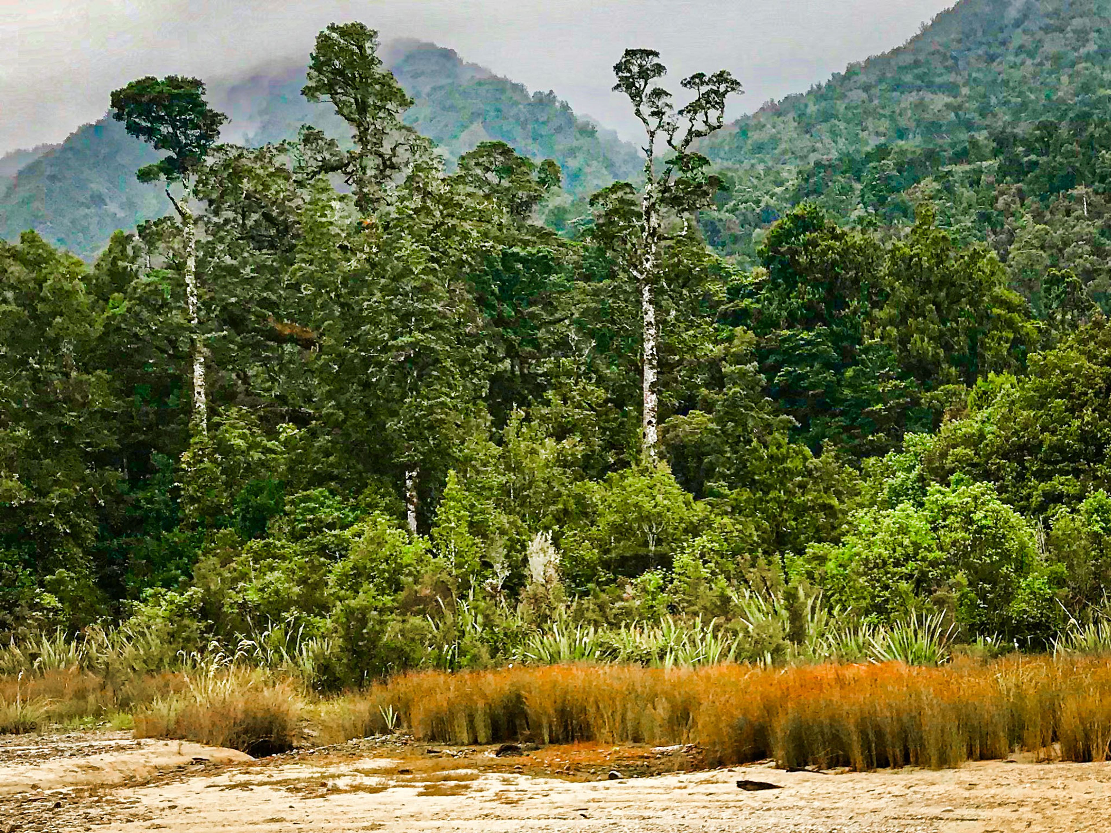 Image 8 of 11