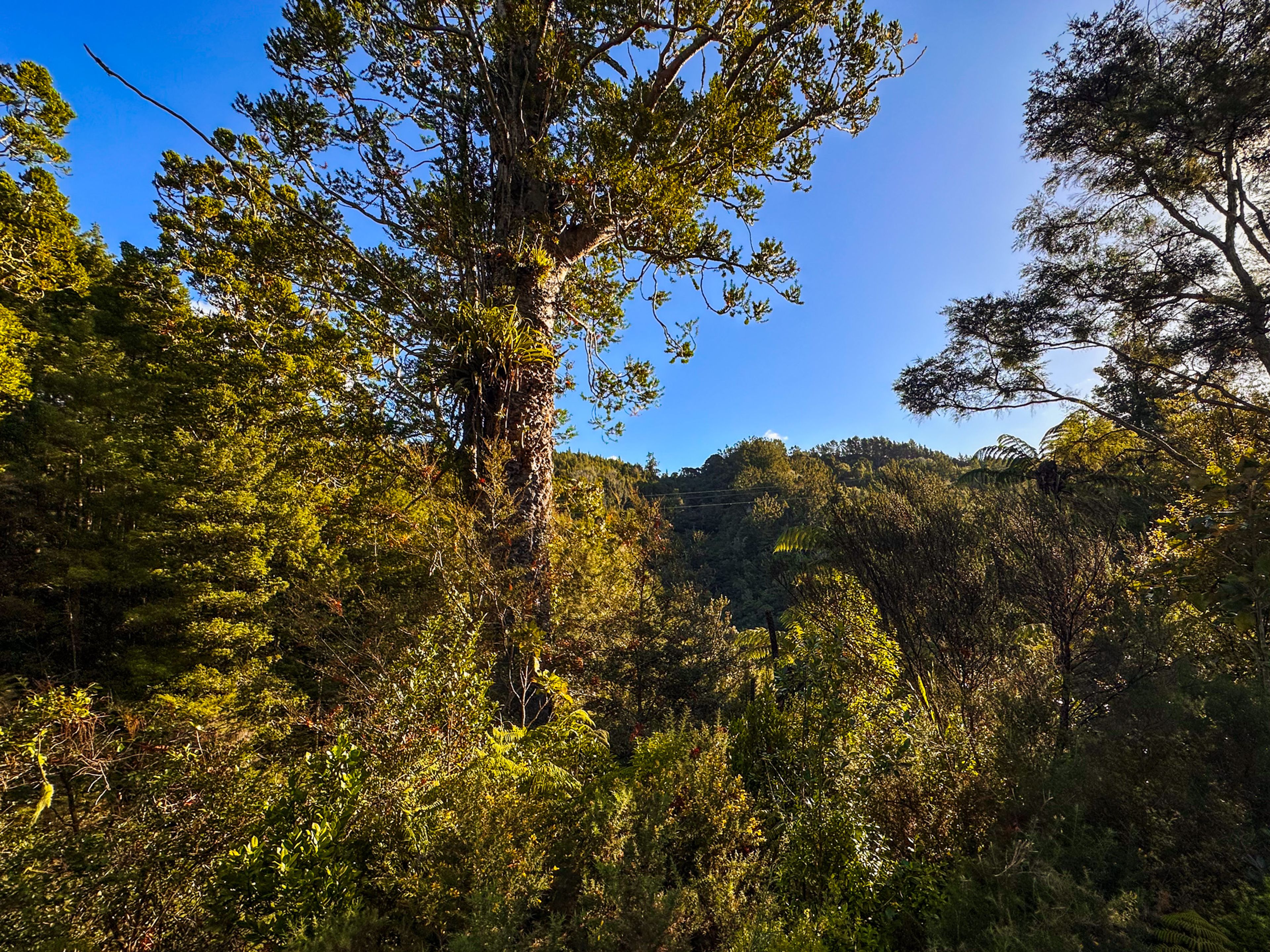 Image 10 of 10