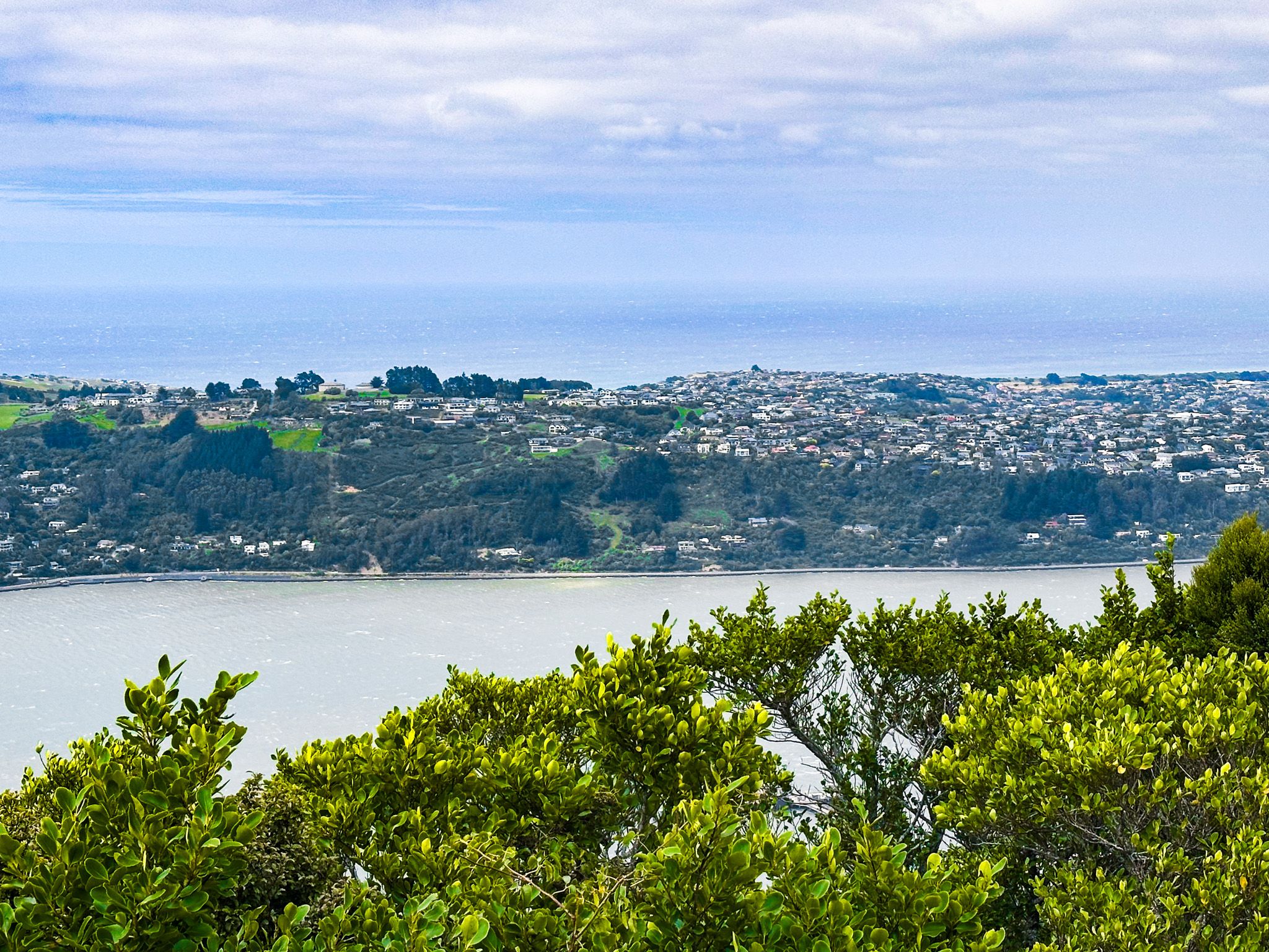 Image 8 of 10