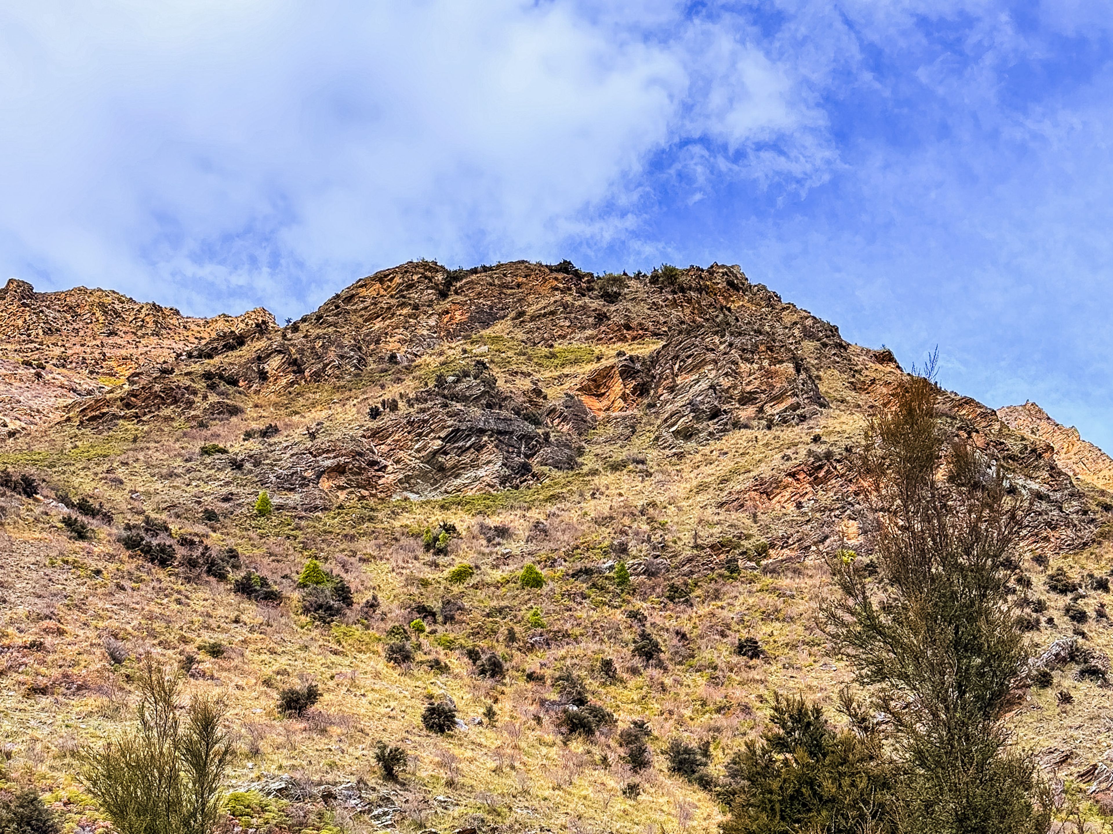 Image 8 of 10