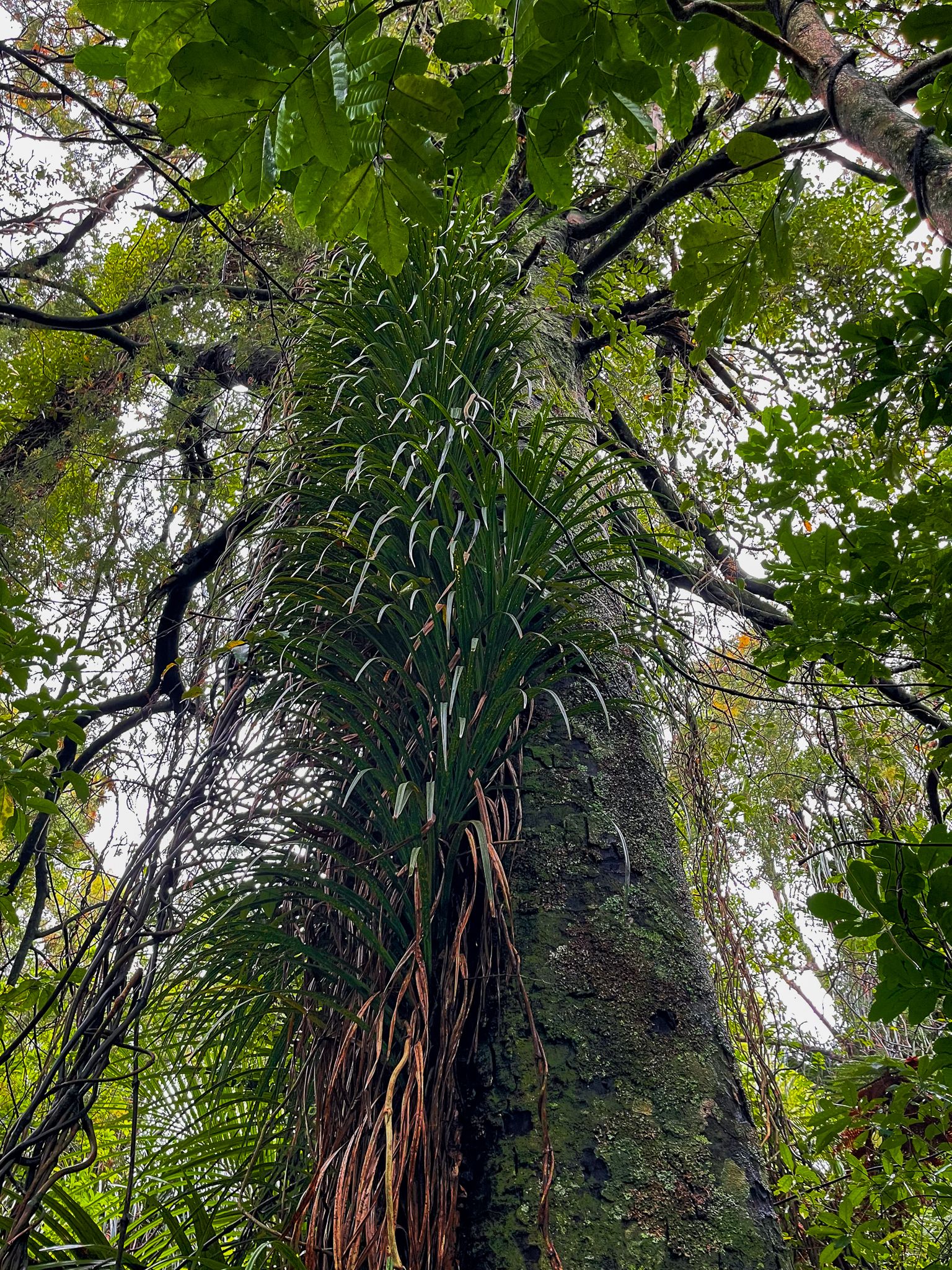 Image 9 of 10