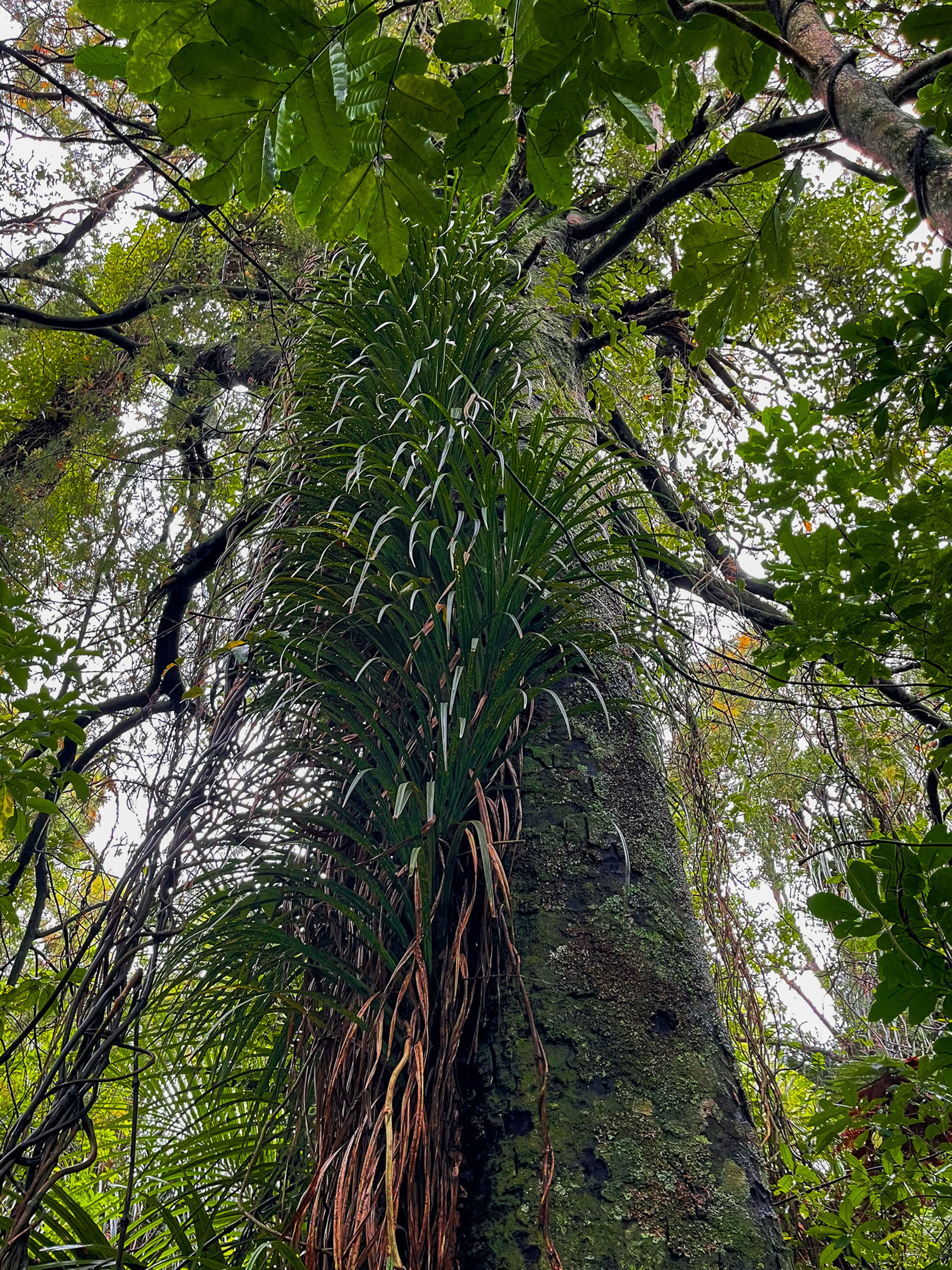 Image 9 of 10