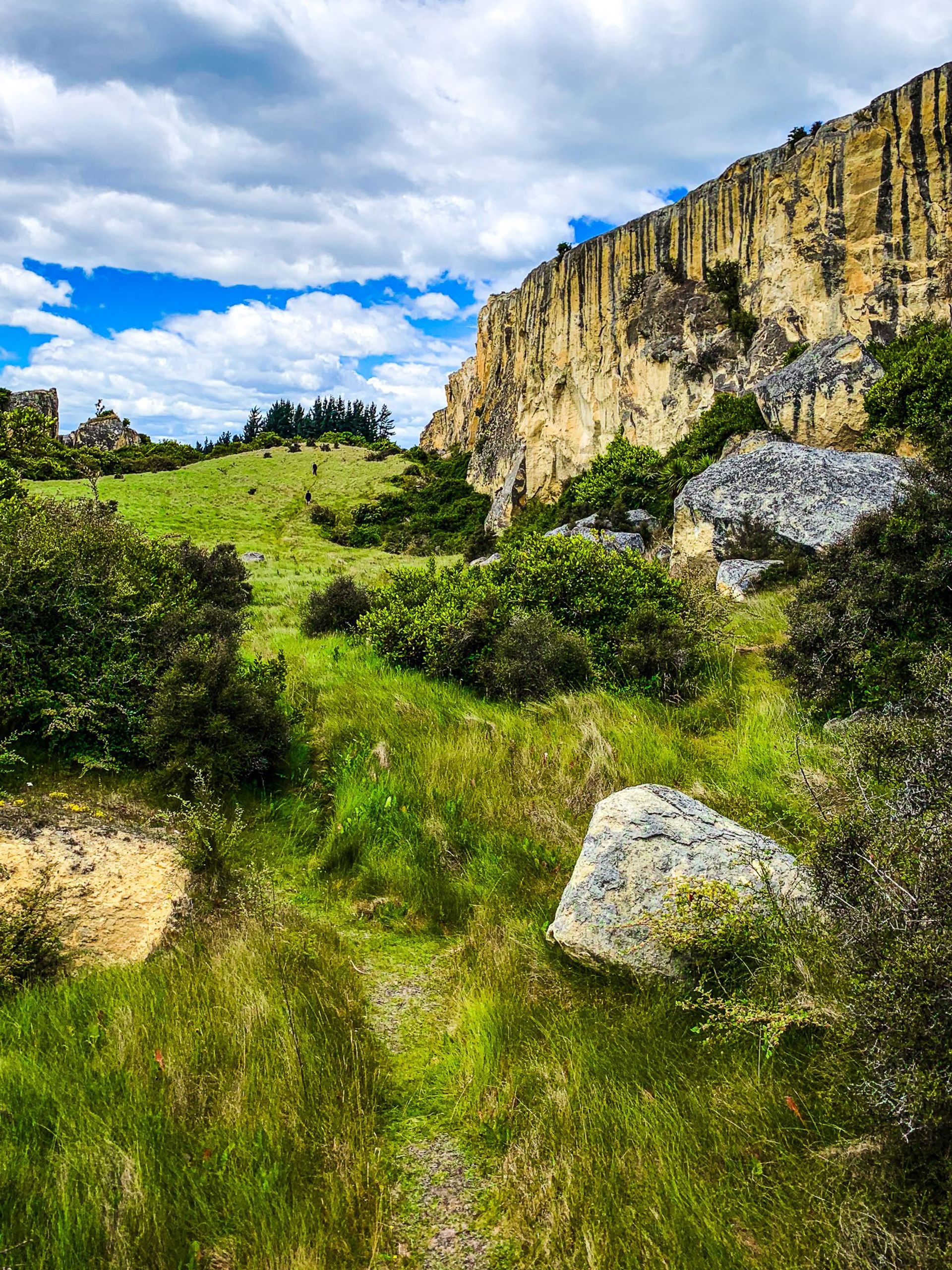 Danseys Pass – Remote and Beautiful Exploration | Blog - New Zealand ...