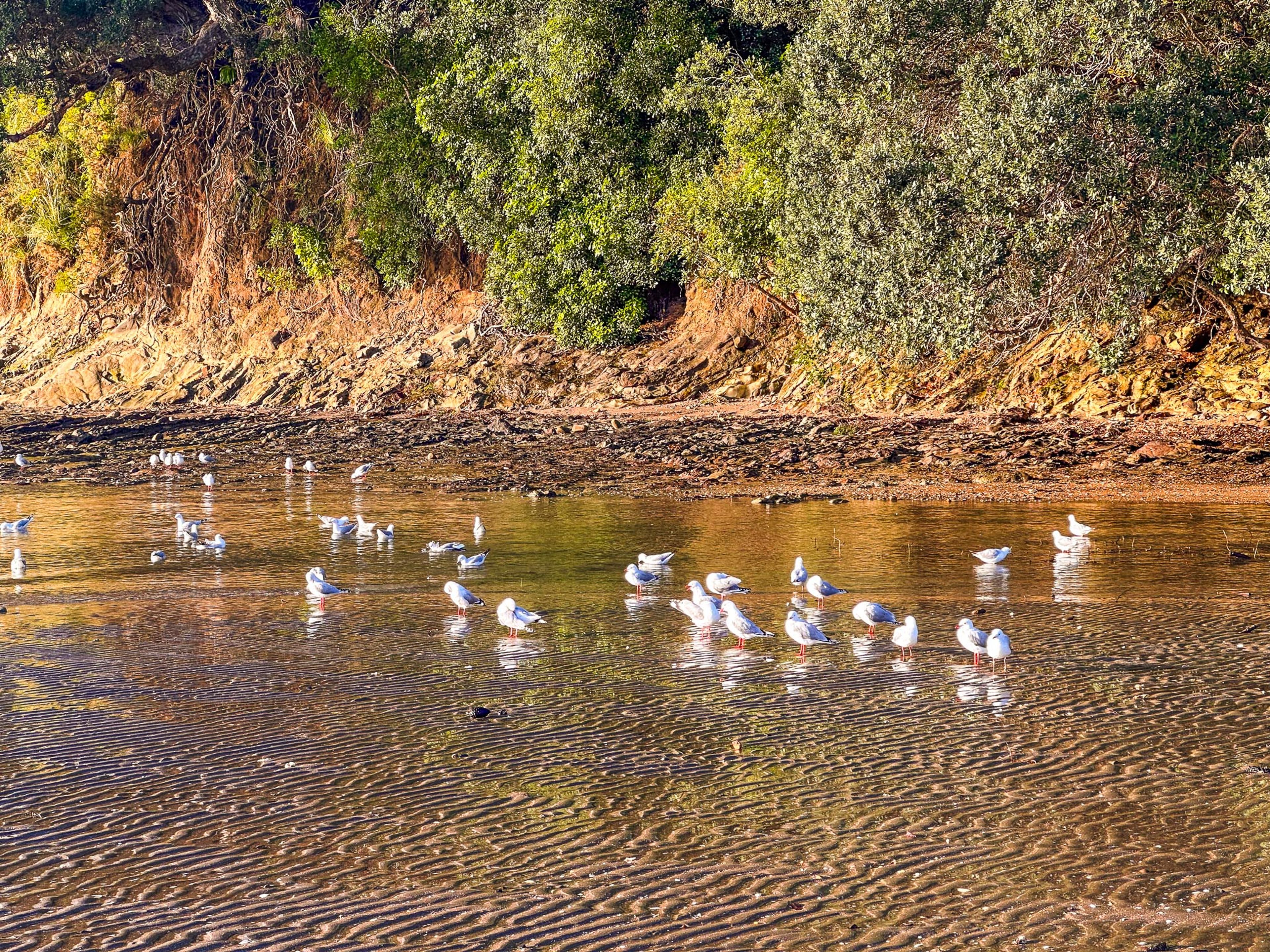 Image 8 of 10