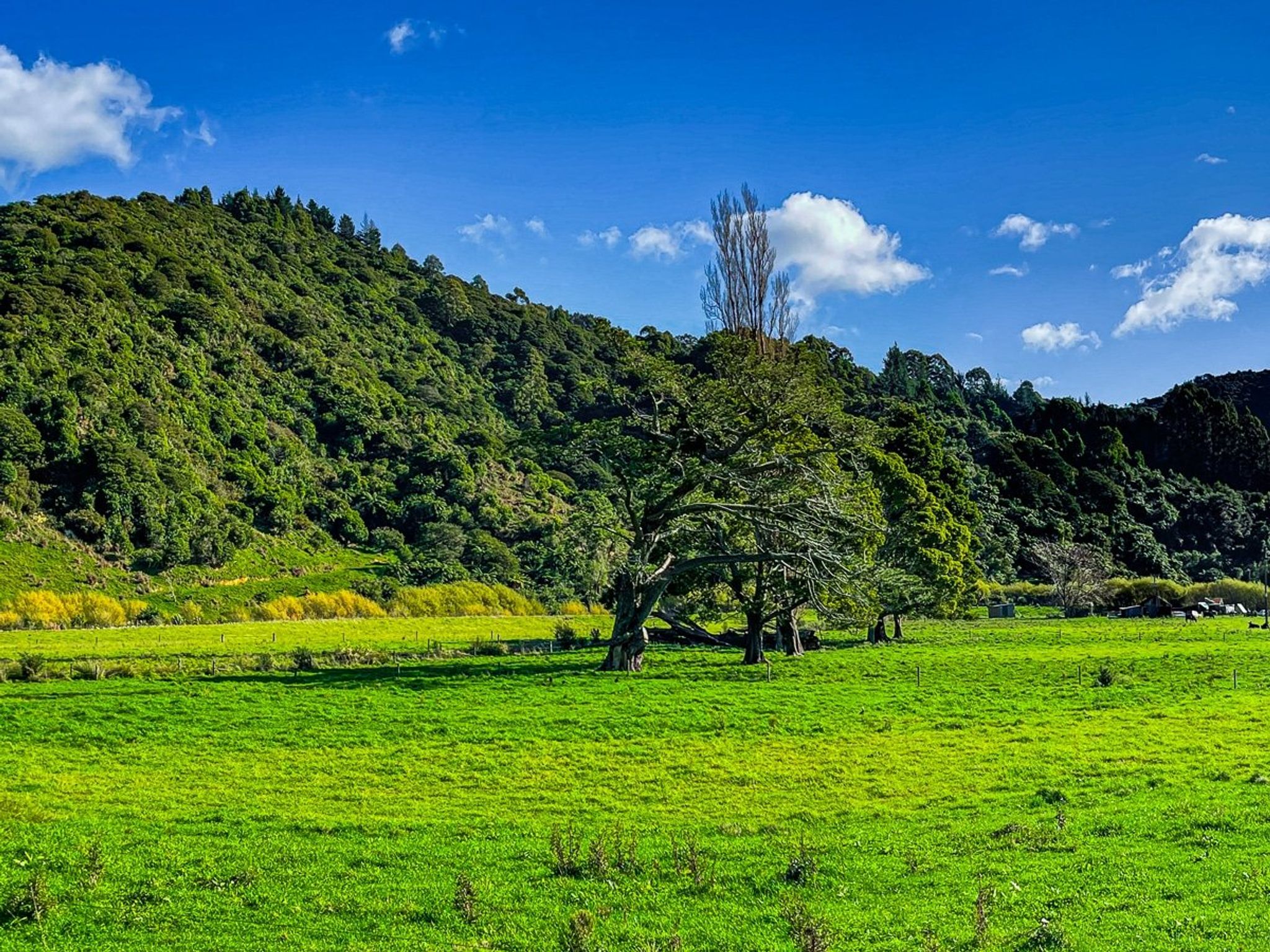 Wainui Bay | Golden Bay - New Zealand Trip Ideas