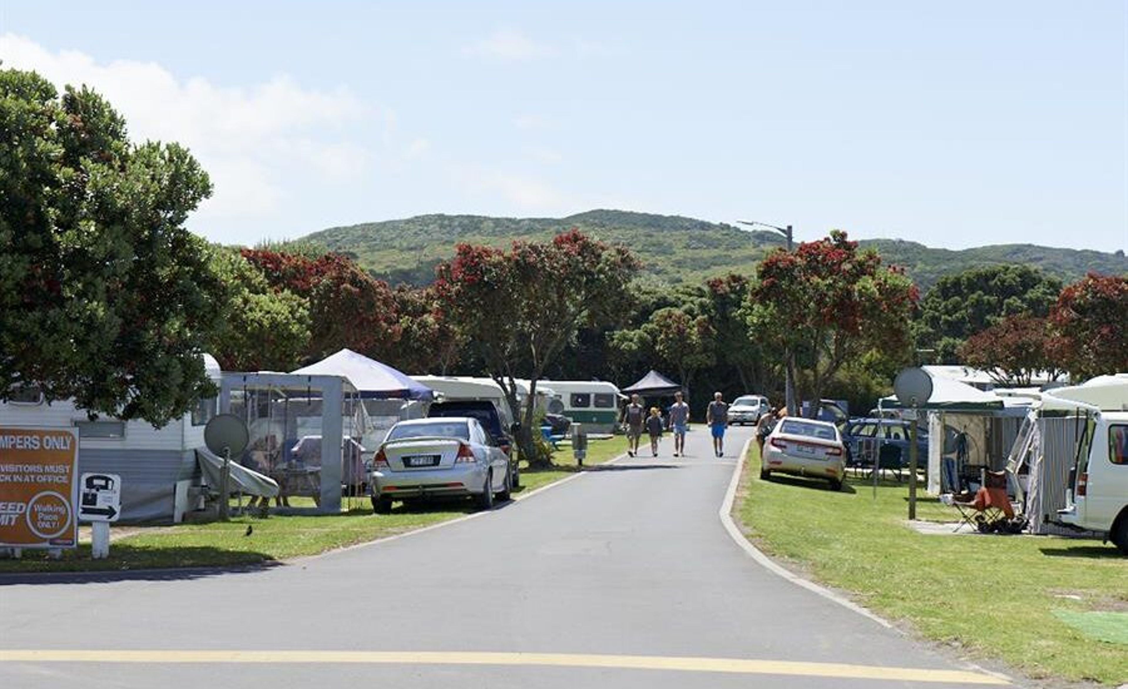 Raglan Holiday Park