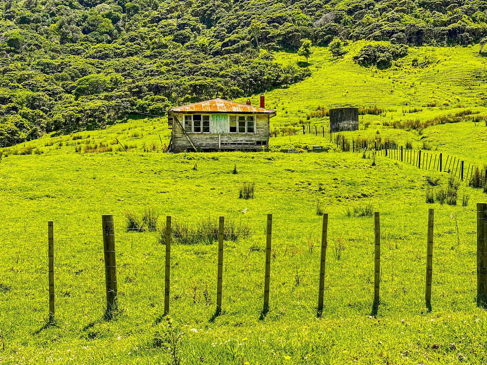 Image 8 of 10