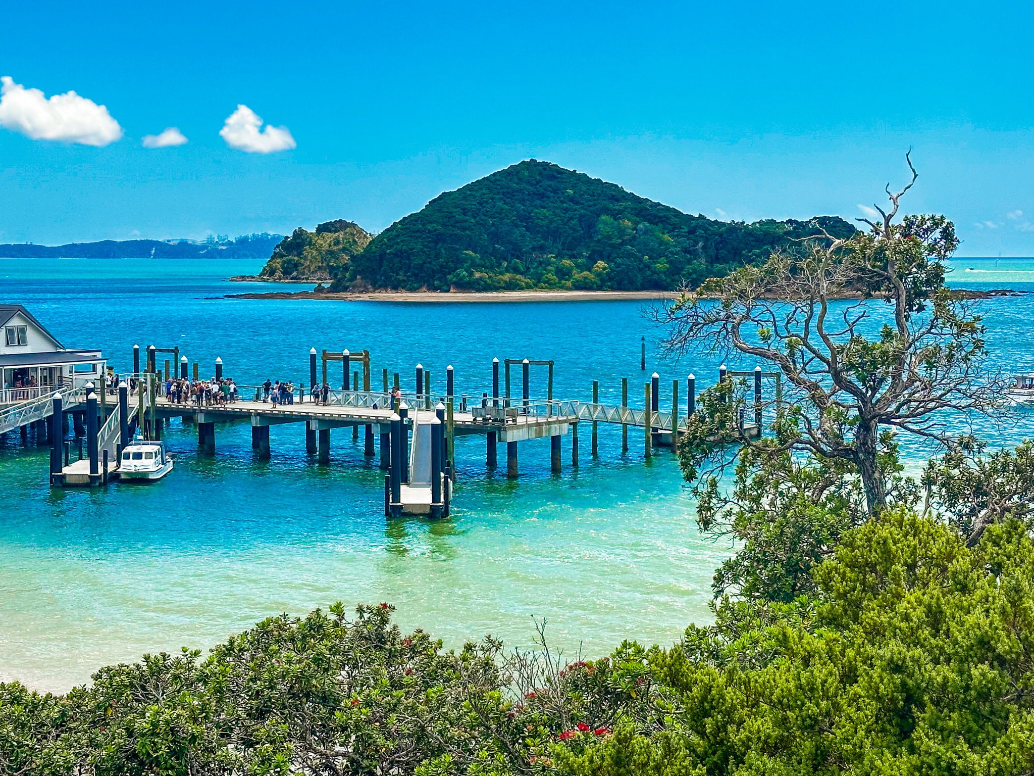 the wharf at Paihia, gateway to the Bay of Islands