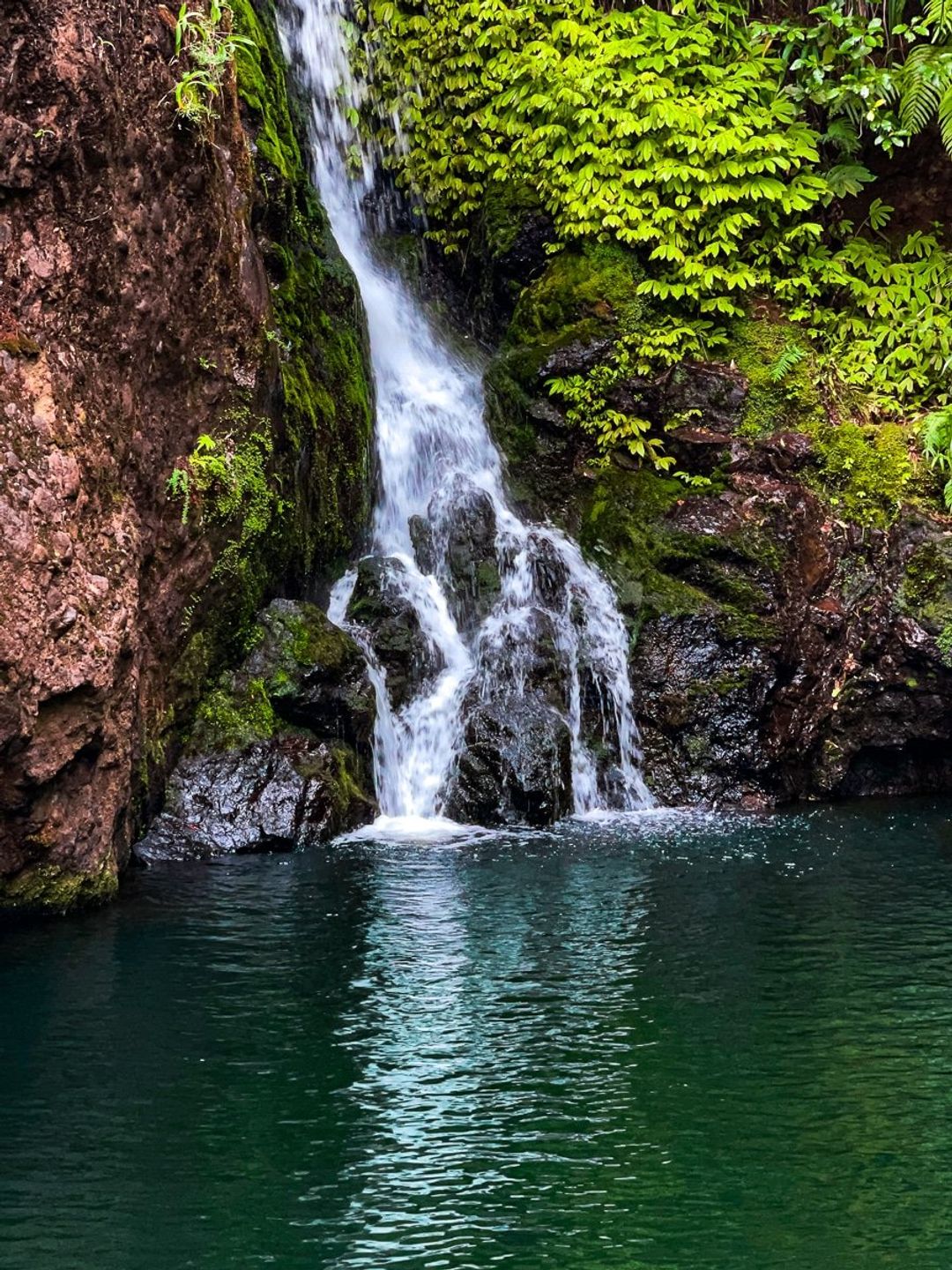 Waitākere Ranges | West Auckland - New Zealand Trip Ideas