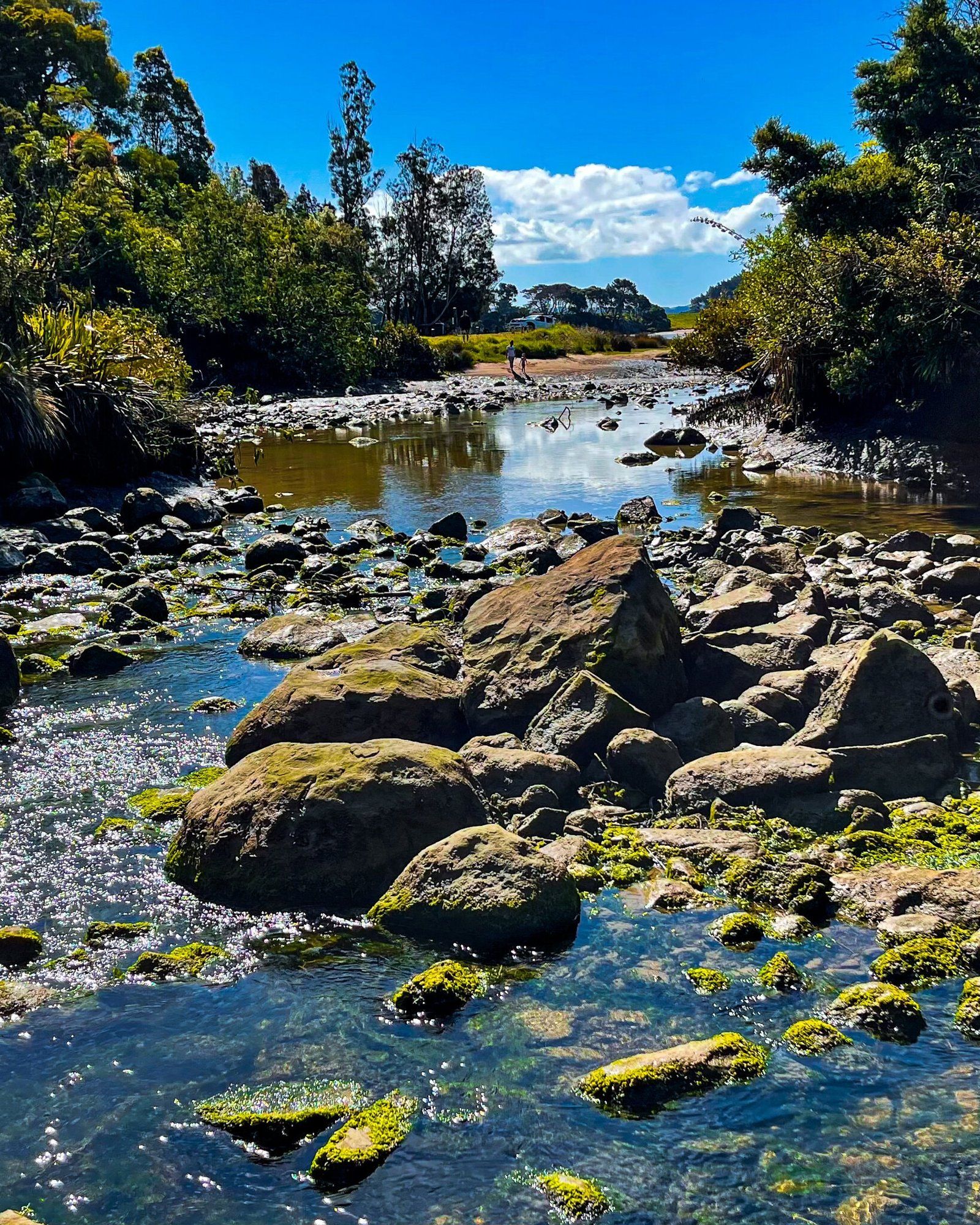 Image 4 of 9