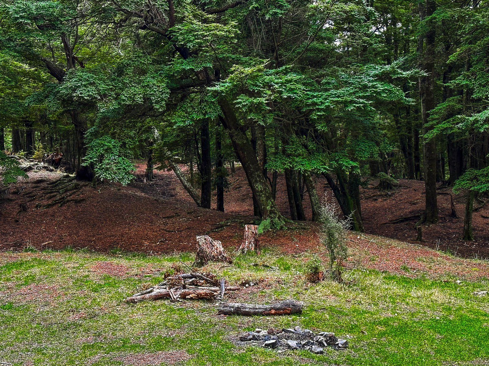 Image 1 of 9