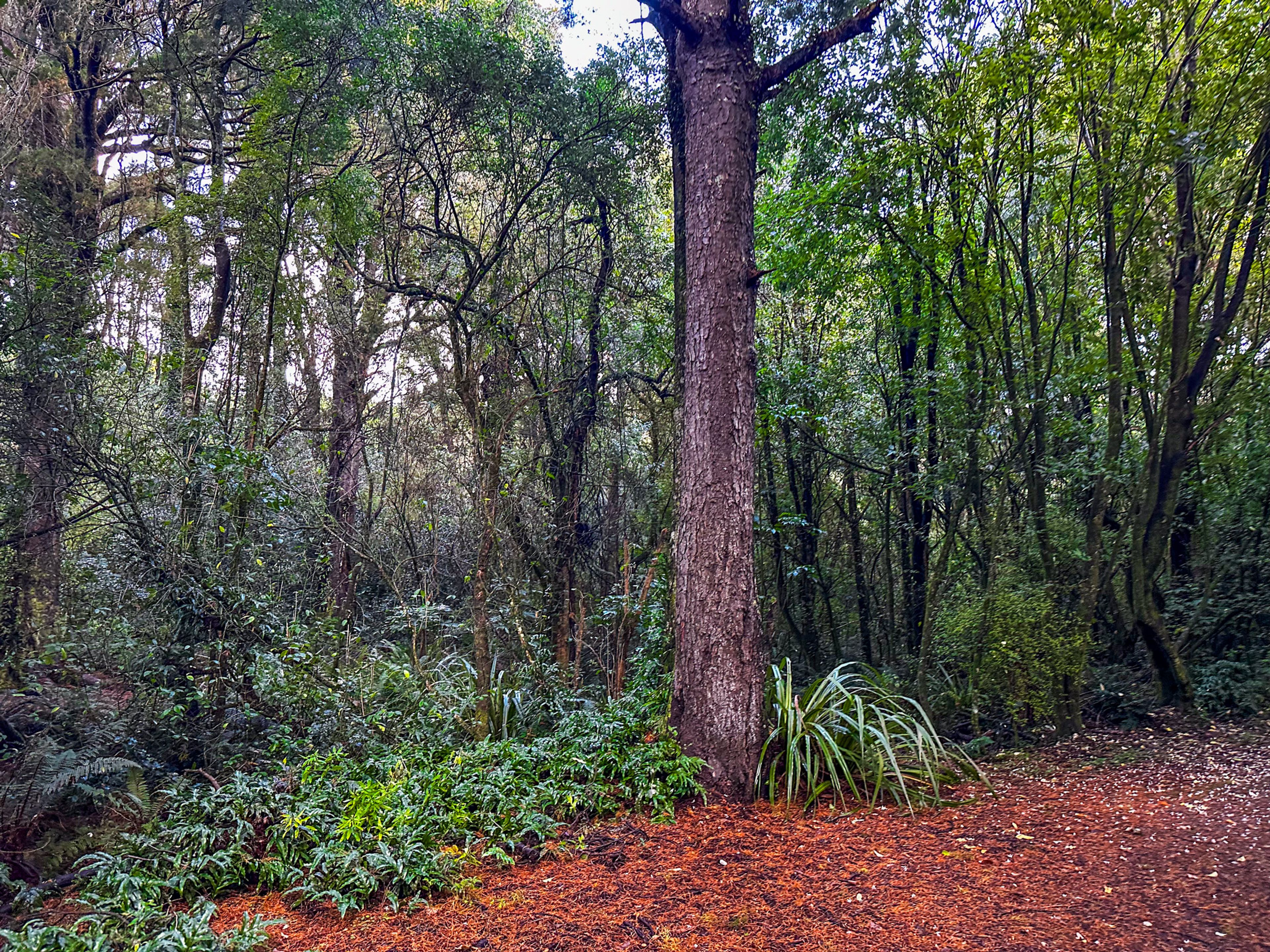 Image 5 of 10