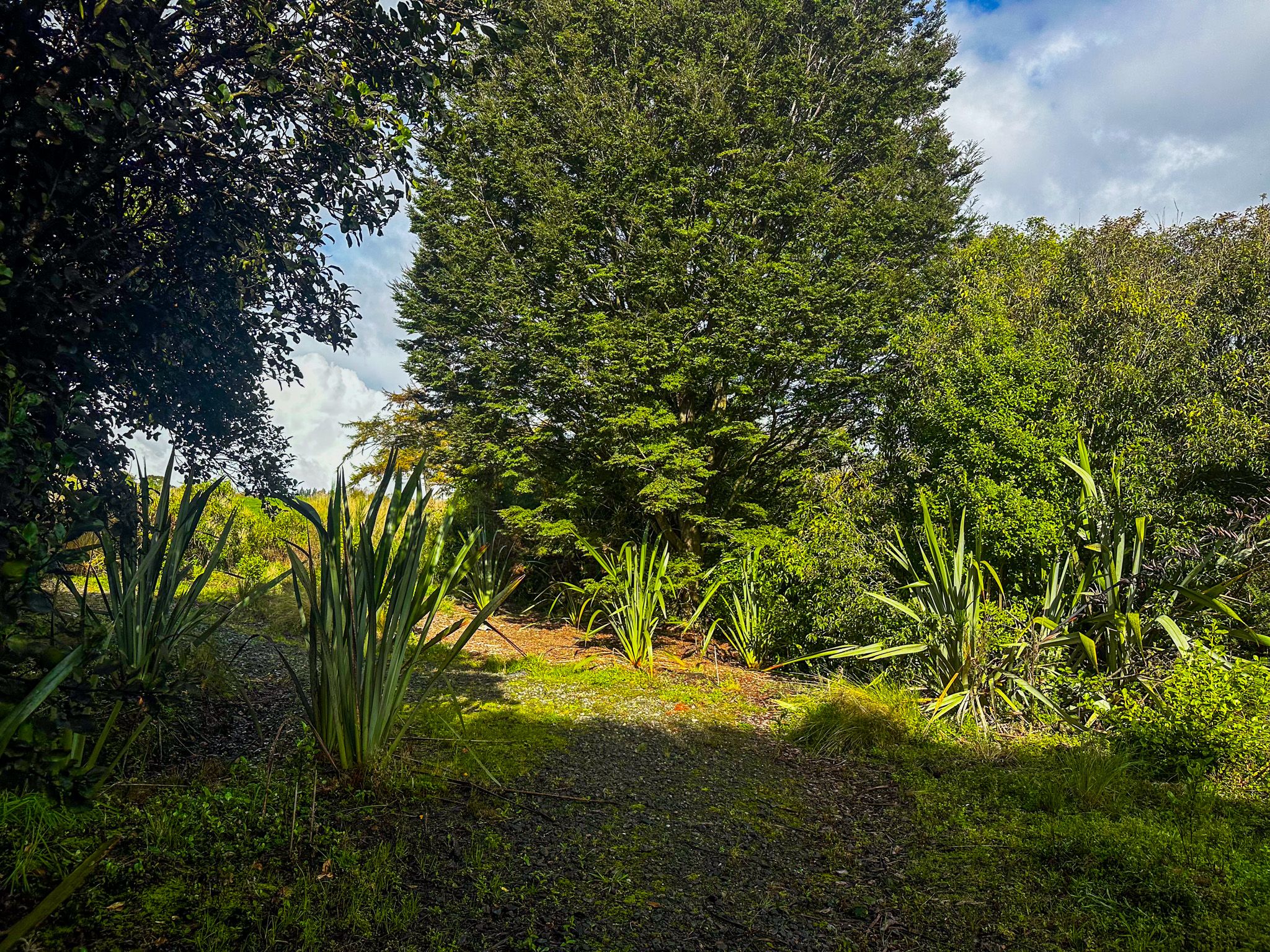 Image 6 of 10