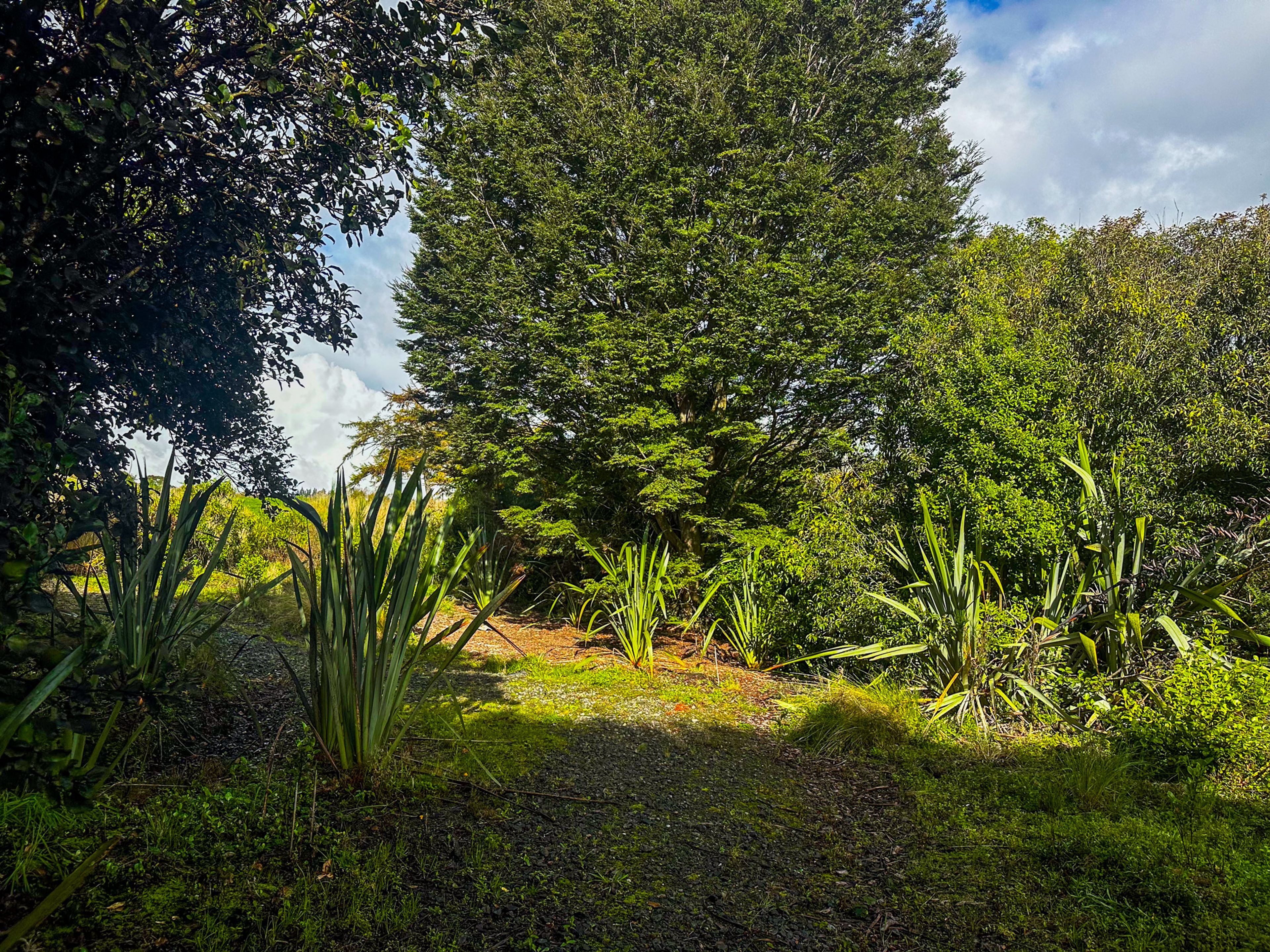 Image 6 of 10